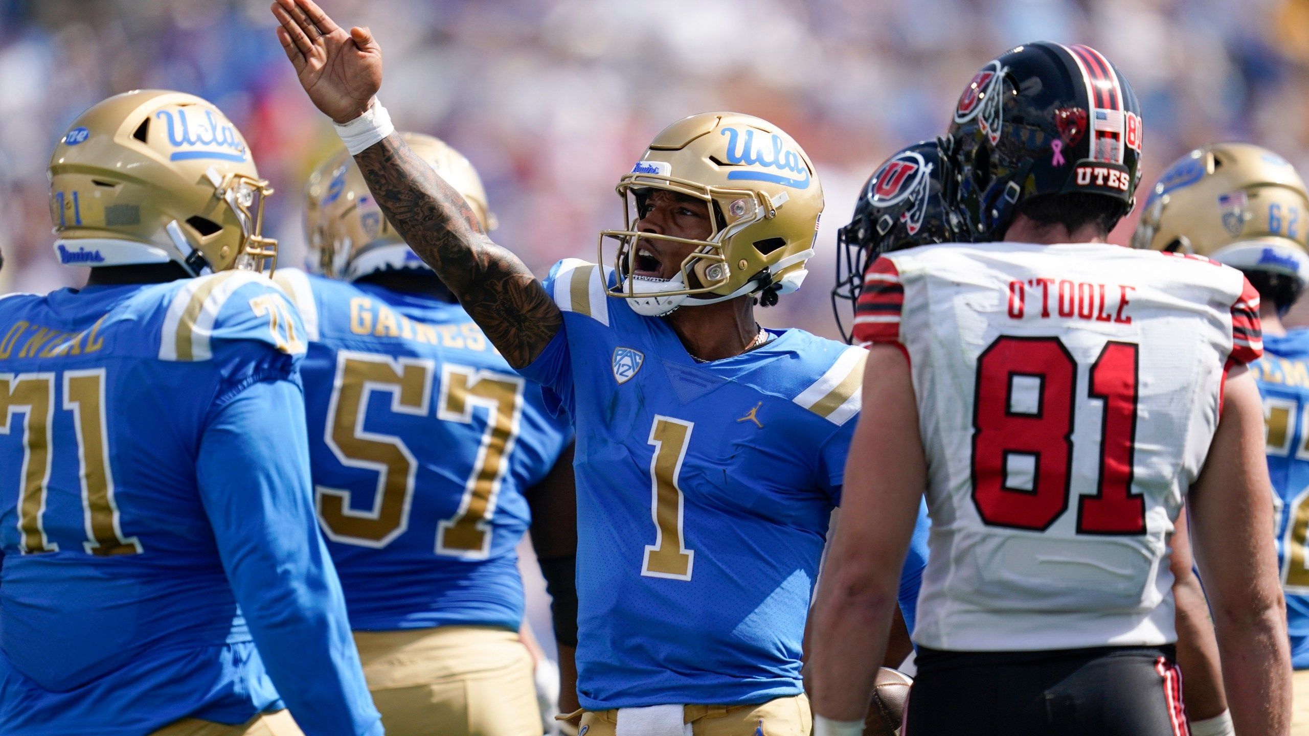 2560x1440 Cleveland Browns Draft Dorian Thompson Robinson, UCLA Record Setting Quarterback