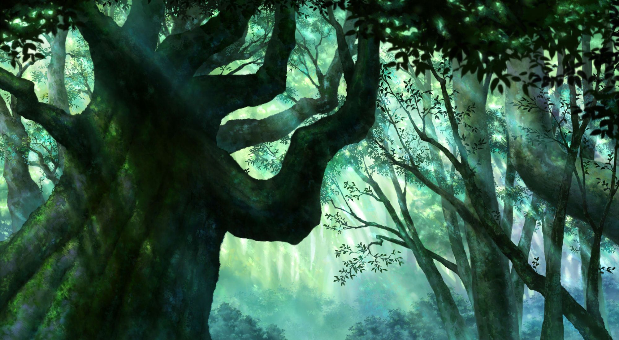 2000x1100 forest, Iy, Tujiki, Landscape, Original, Scenic, Tree, Trees, Nature Wallpaper HD / Desktop and Mobile Background