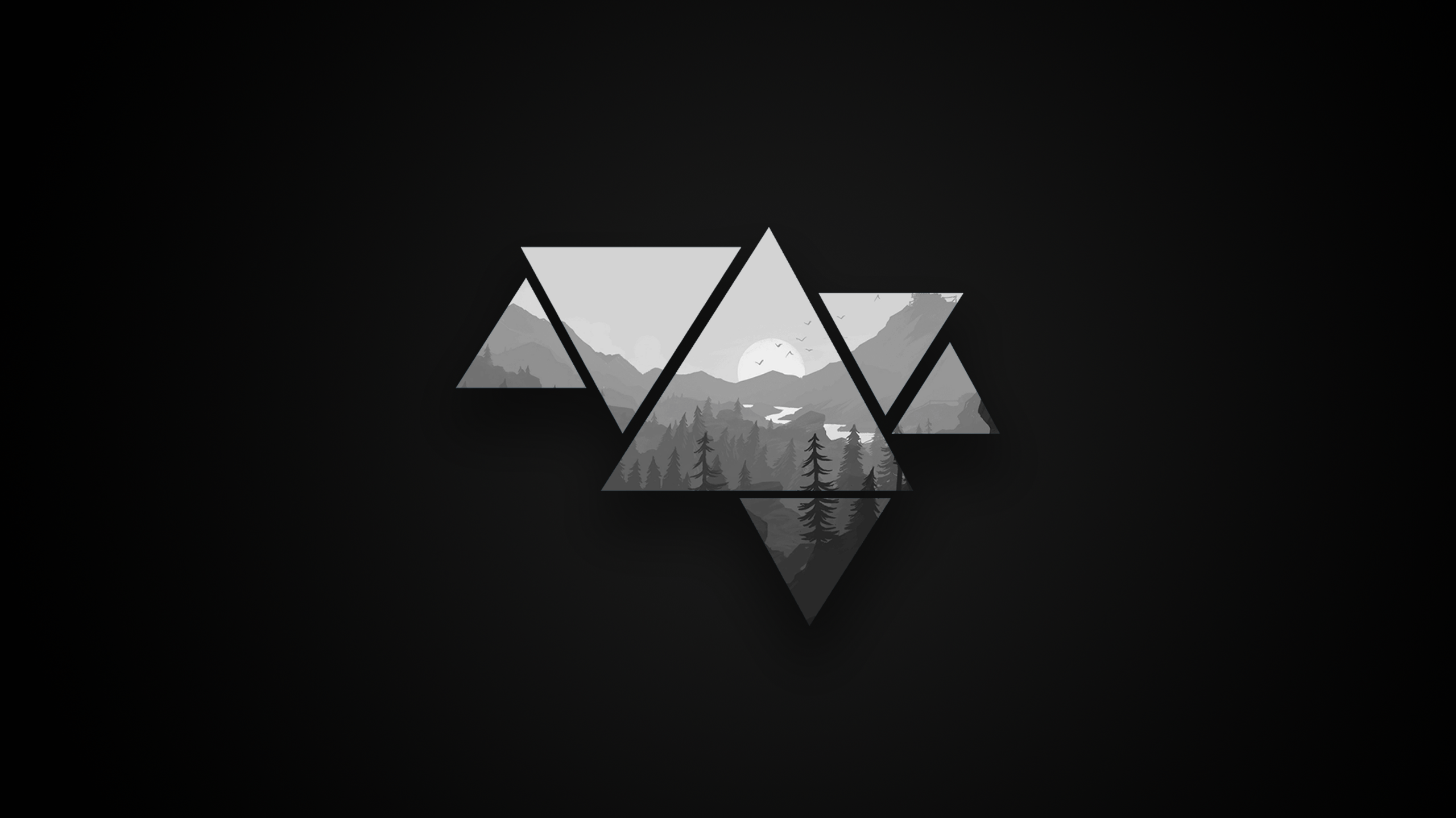 2560x1440 Black Wallpaper