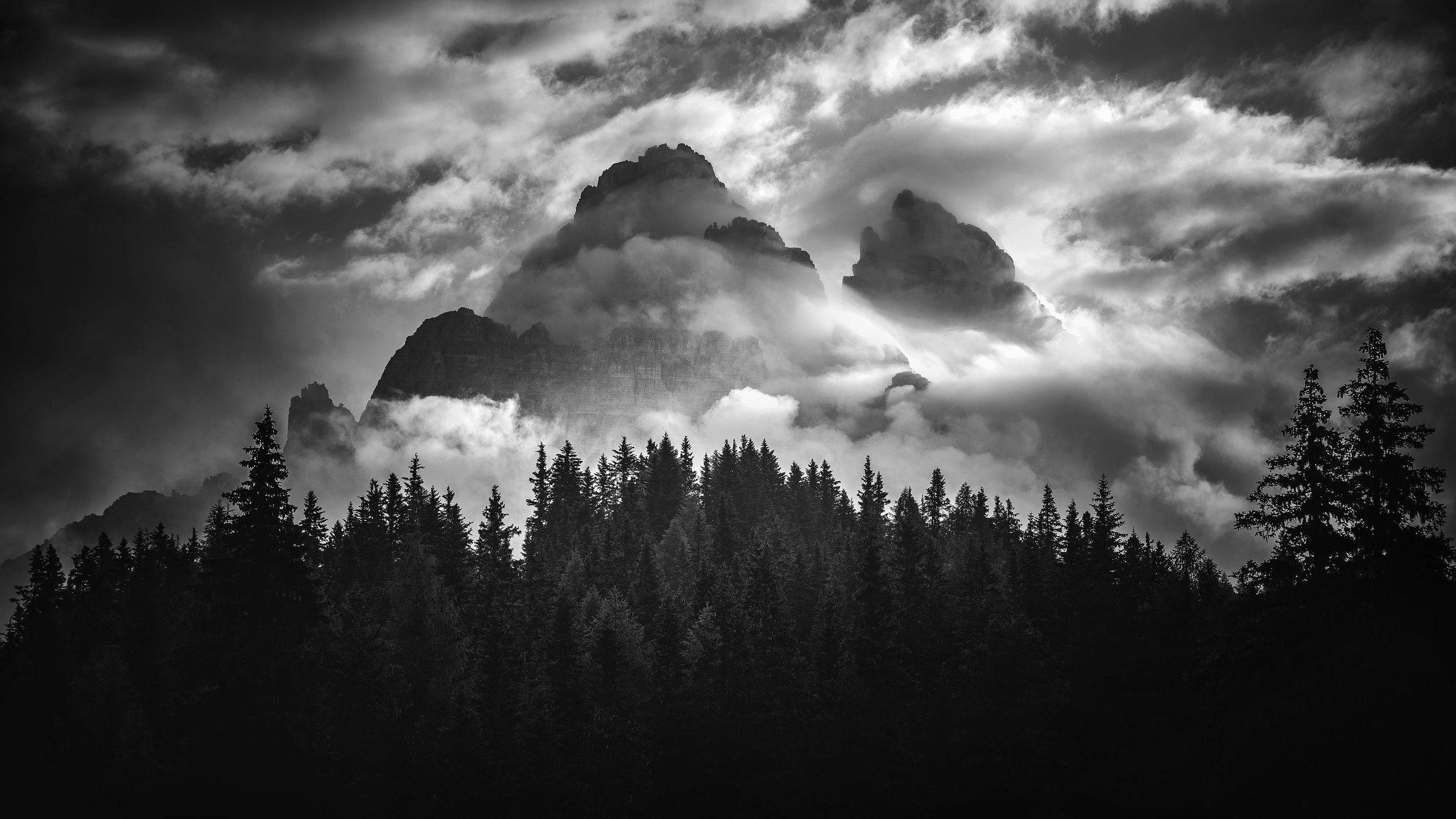 2560x1440 Wallpaper the sky, clouds, trees, mountains, nature, rocks, black and white, monochrome for mobile and desktop, section пейзажи, resolution 2560x1440