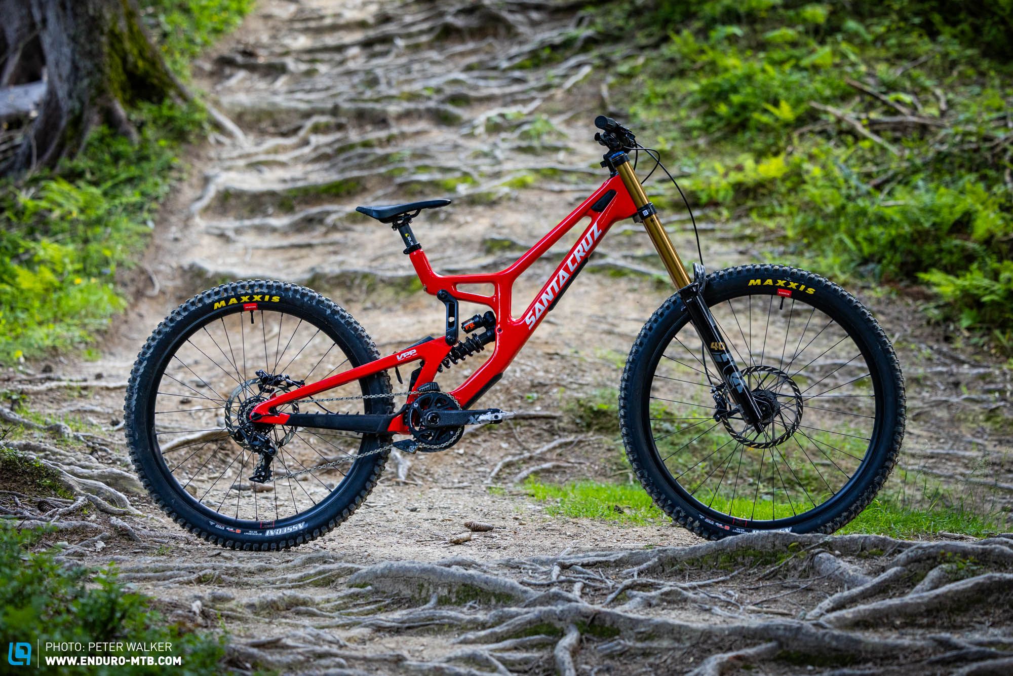 2000x1334 Santa Cruz V10