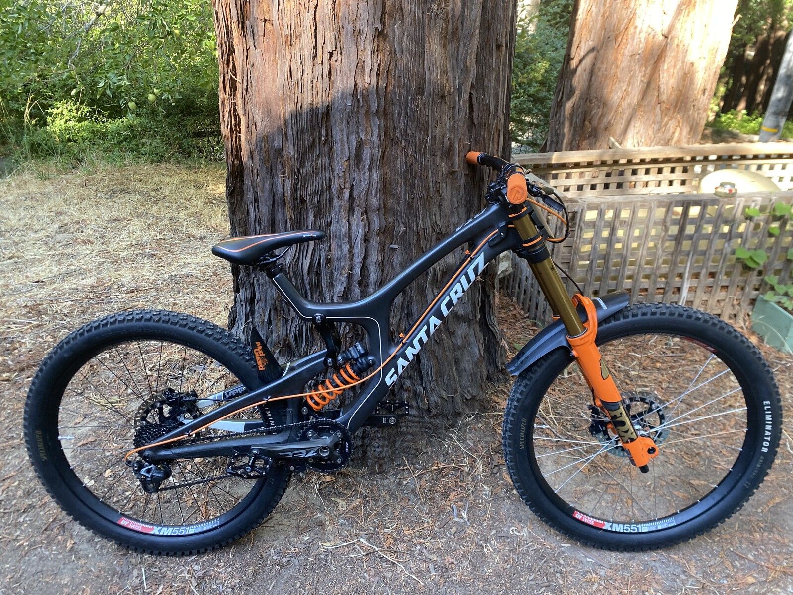 1600x1200 Santa Cruz V10 Custom's Bike Check