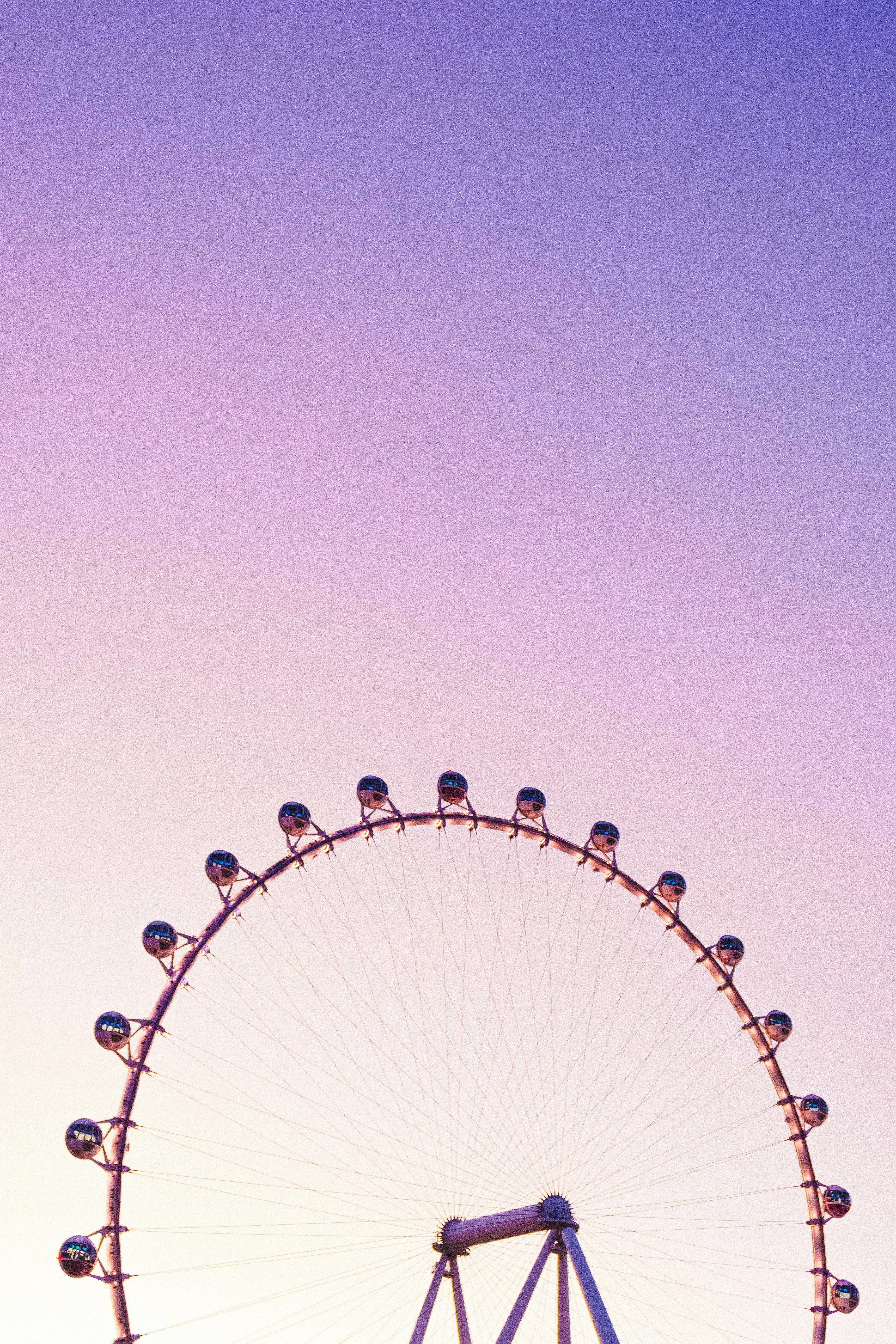 3731x5596 Purple Wallpaper: Free HD Download [HQ]