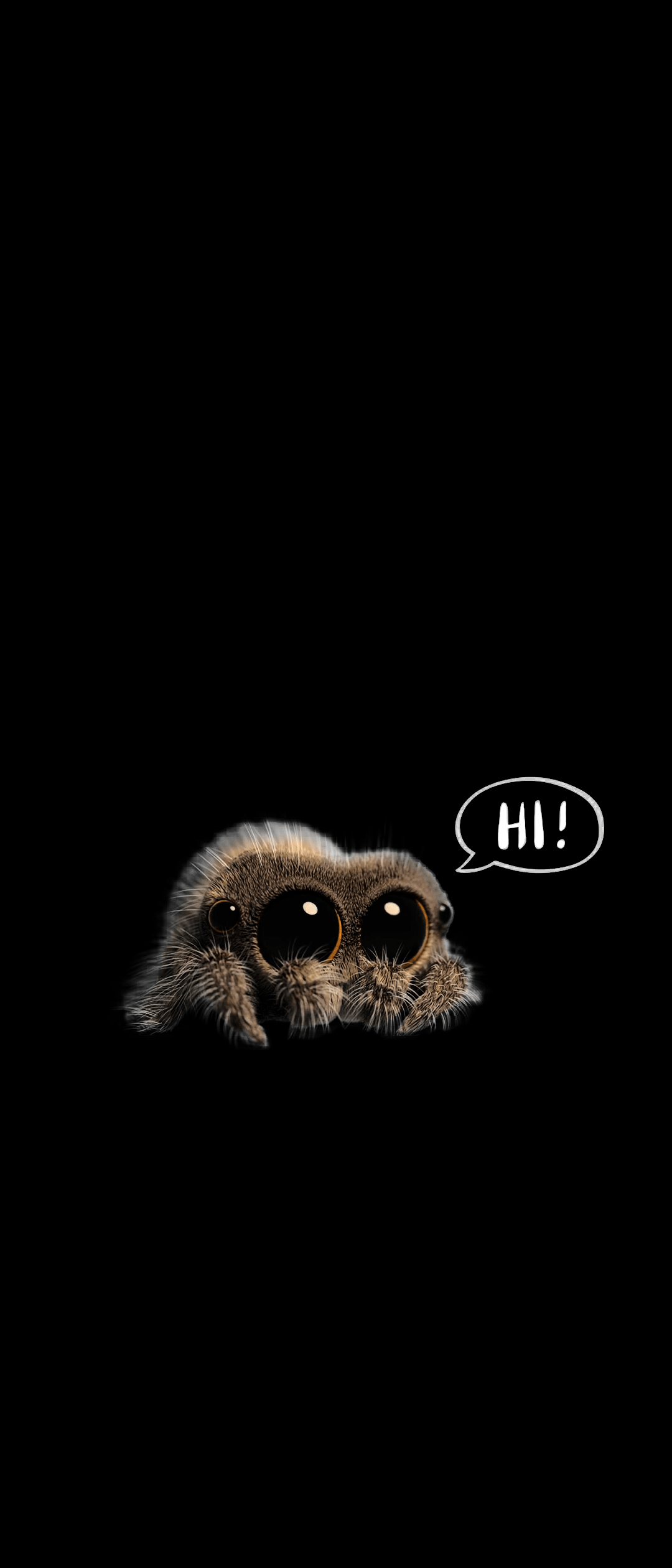 1080x2520 Lucas The Spider Says Hi! (check Out R Spiderbro For More Cool Spiders) [1080x2520]