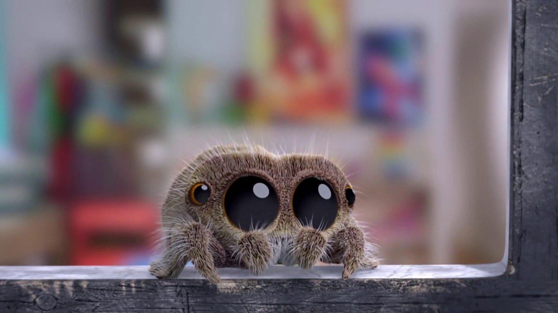 1920x1080 Watch Lucas The Spider Season 1 Online, Stream Episode 5: I'm Taking You In Something Up There Home Sweet Home