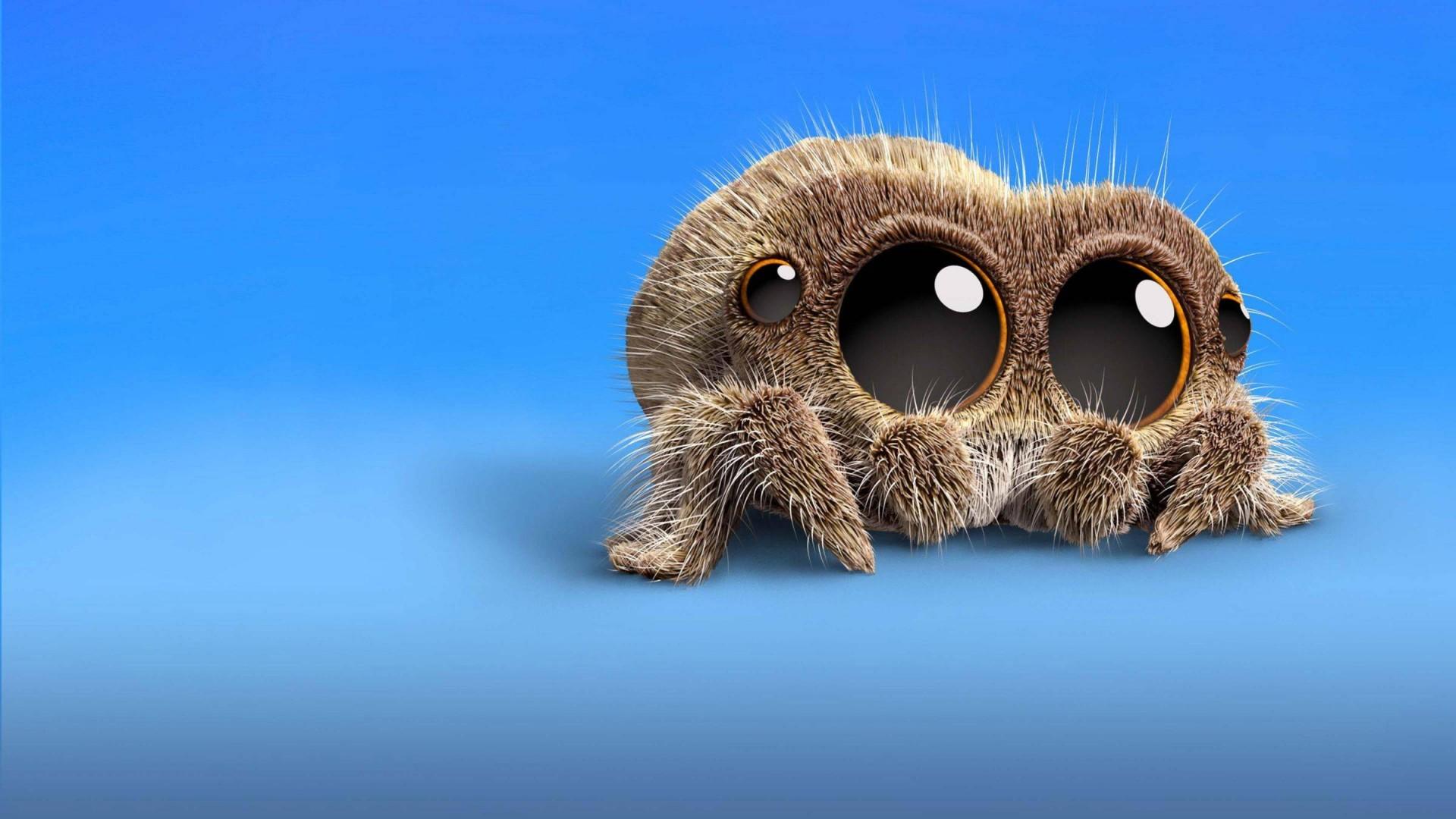 1920x1080 Lucas the Spider