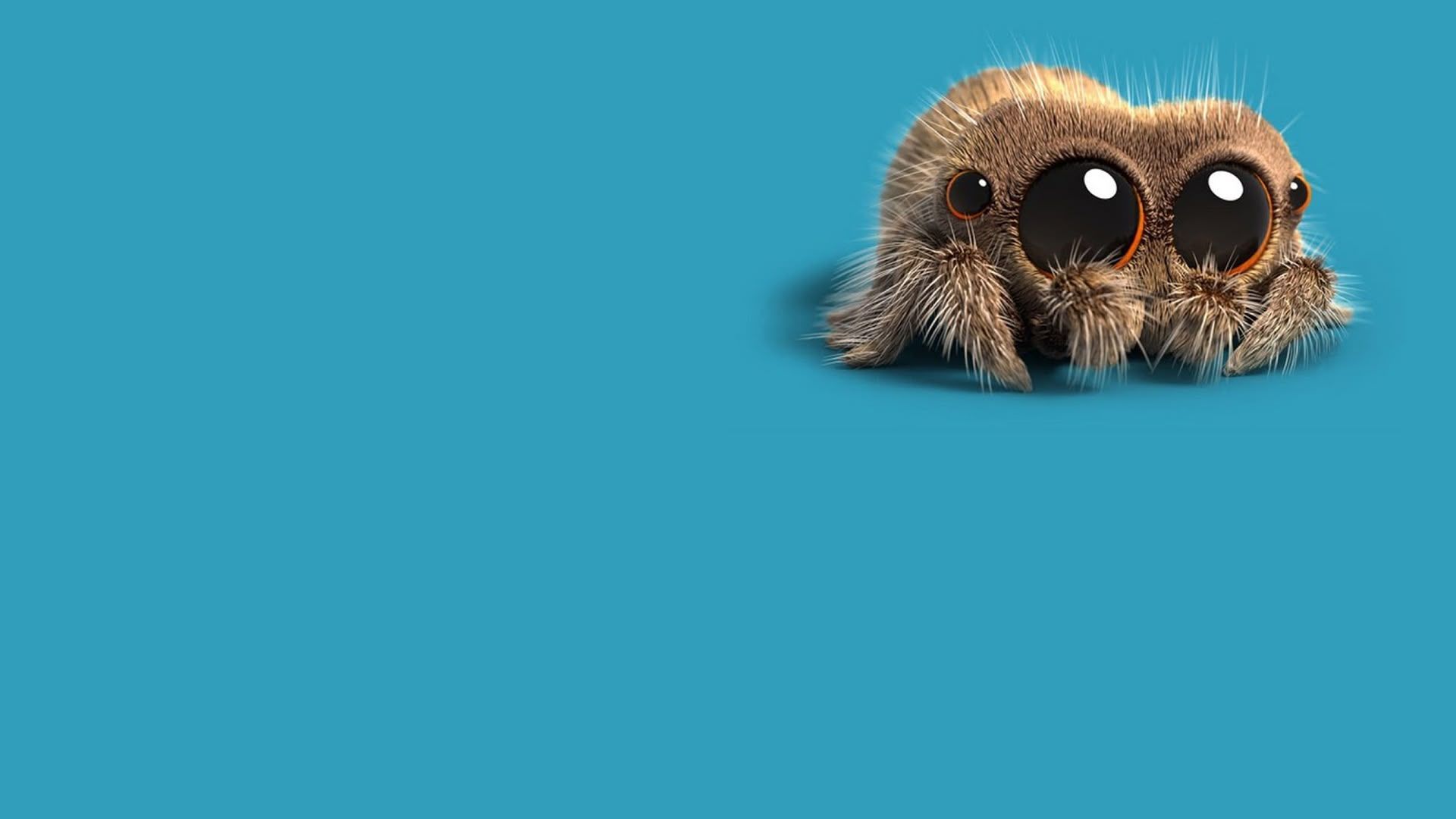 1920x1080 Lucas the Spider