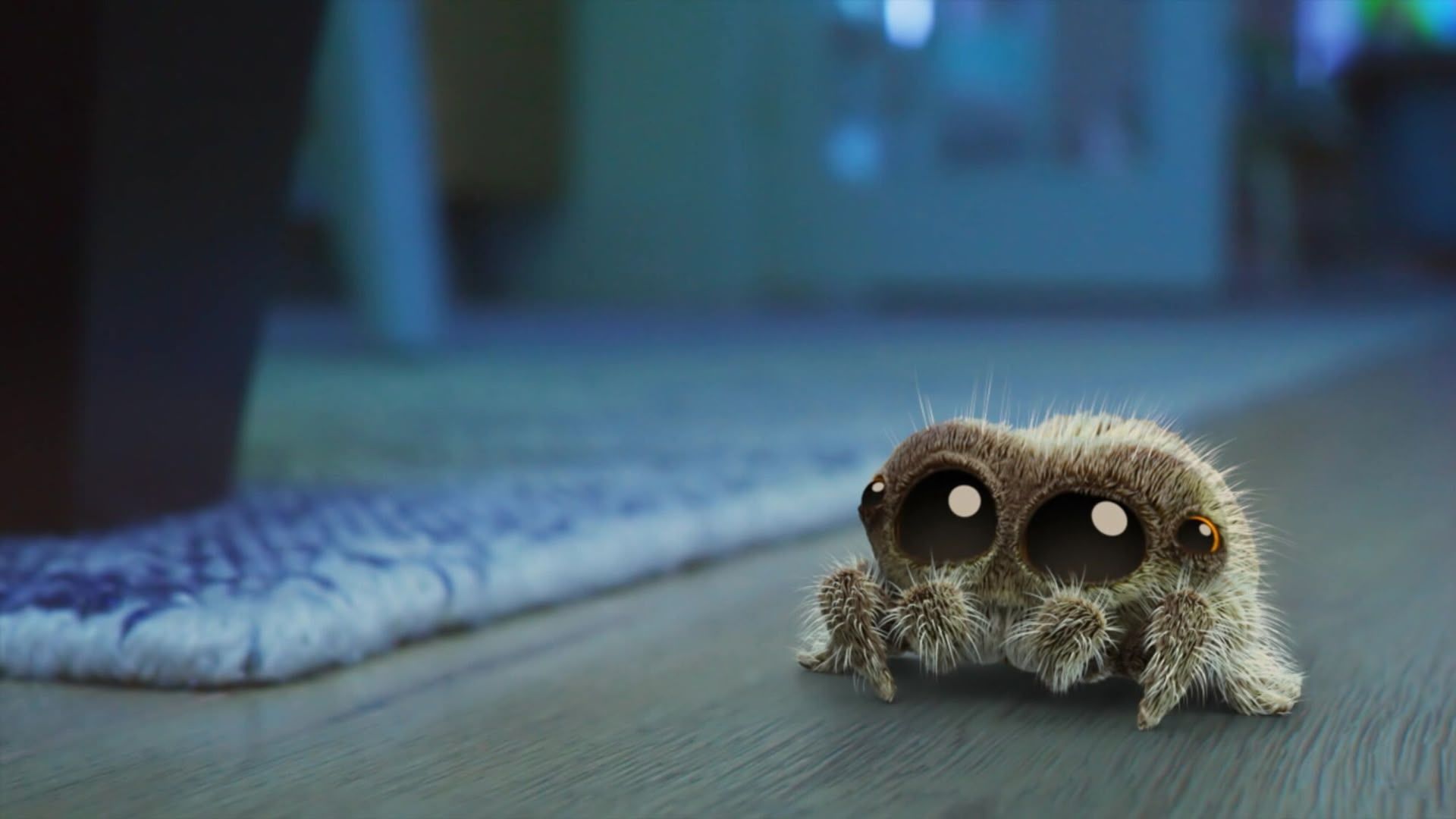 1920x1080 Watch Lucas the Spider Season Episode 7: Lonesome Lucas