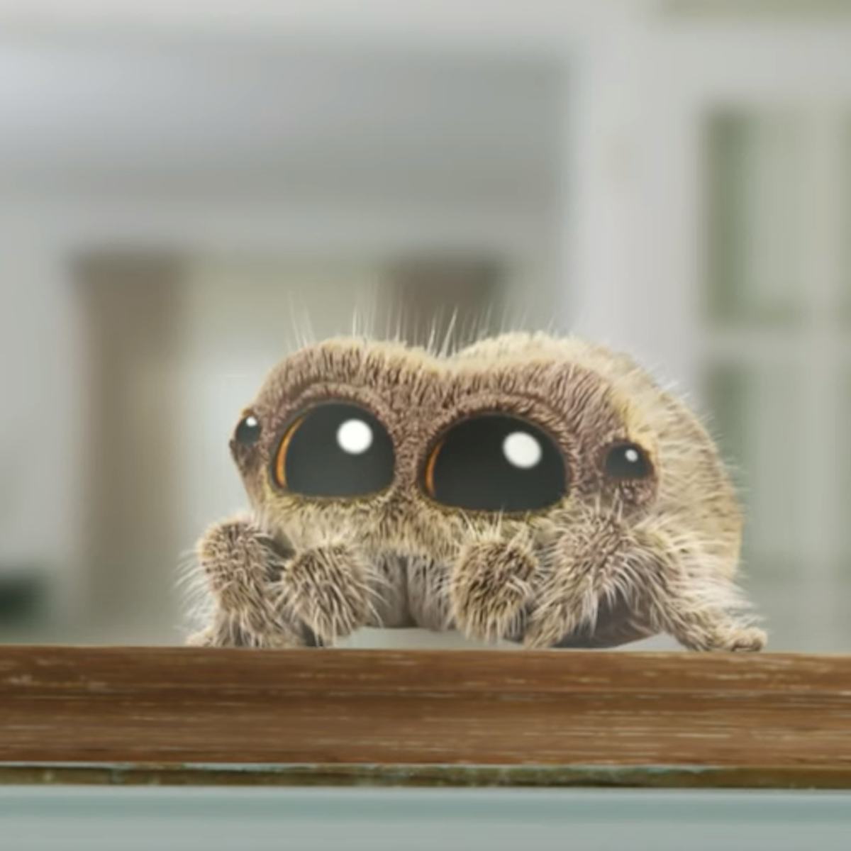 1200x1200 Exclusive Look At New 'Lucas The Spider' Episode On HBO Max