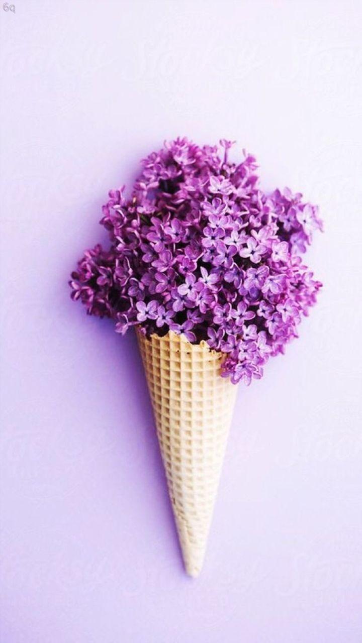 720x1280 turns purple wallpaper note 10 s11 fold iphone 11 110 720x1280 2700000001
