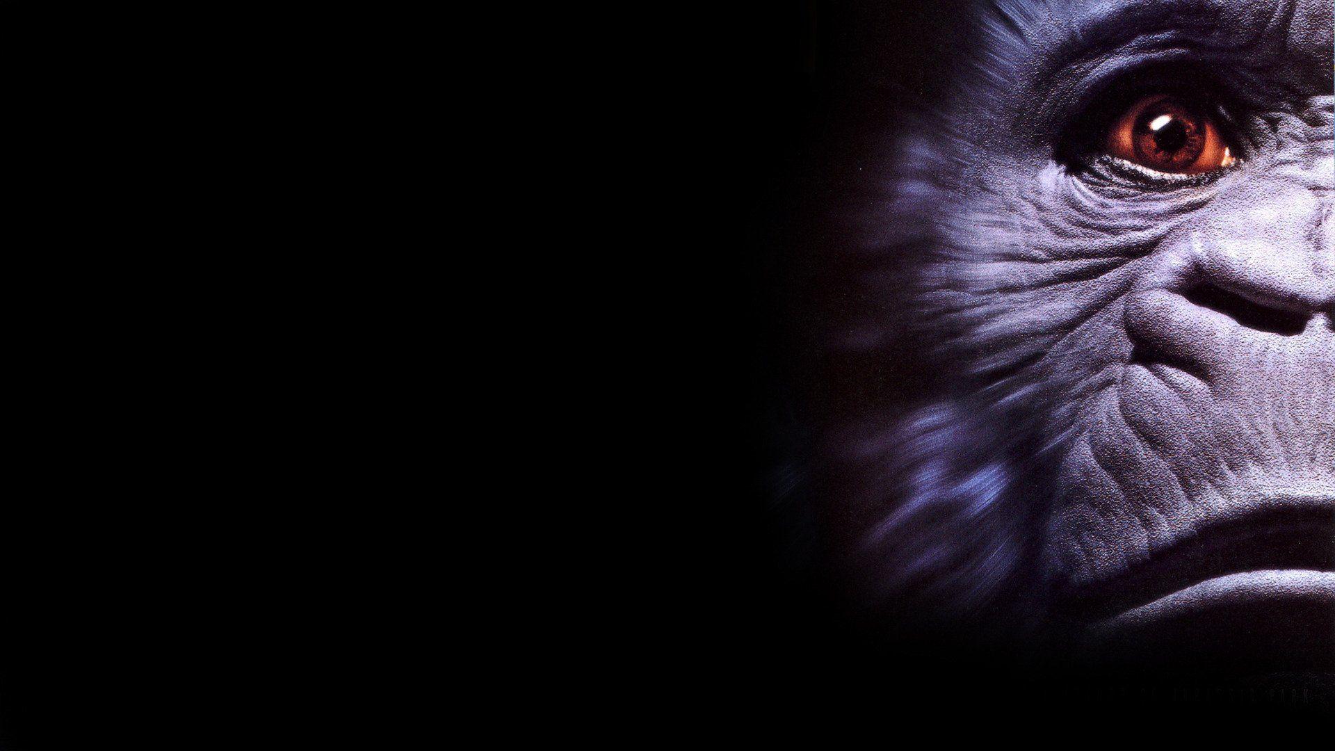 1920x1080 Congo HD Wallpaper and Background Image