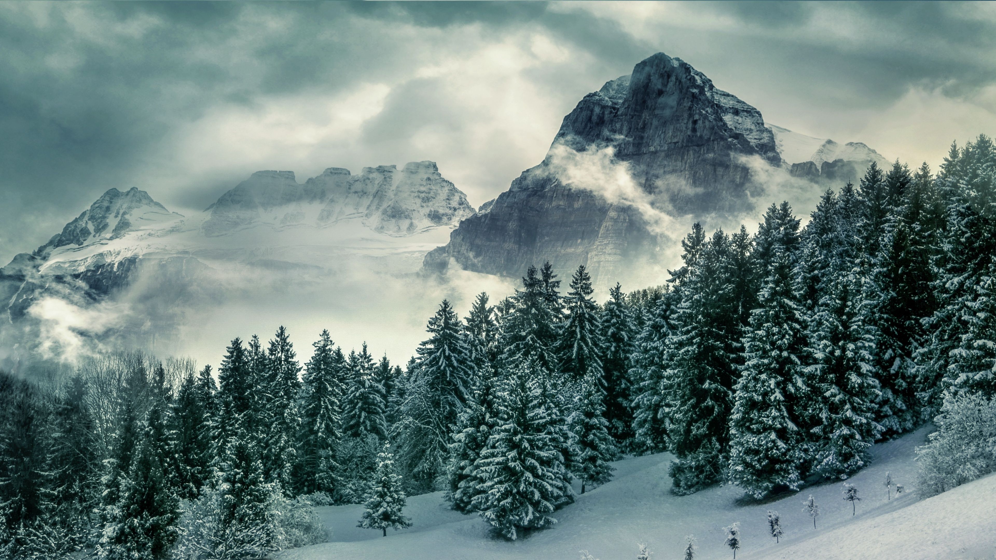 3840x2160 Pine trees Wallpaper 4K, Winter, Forest, Mountains, Peak