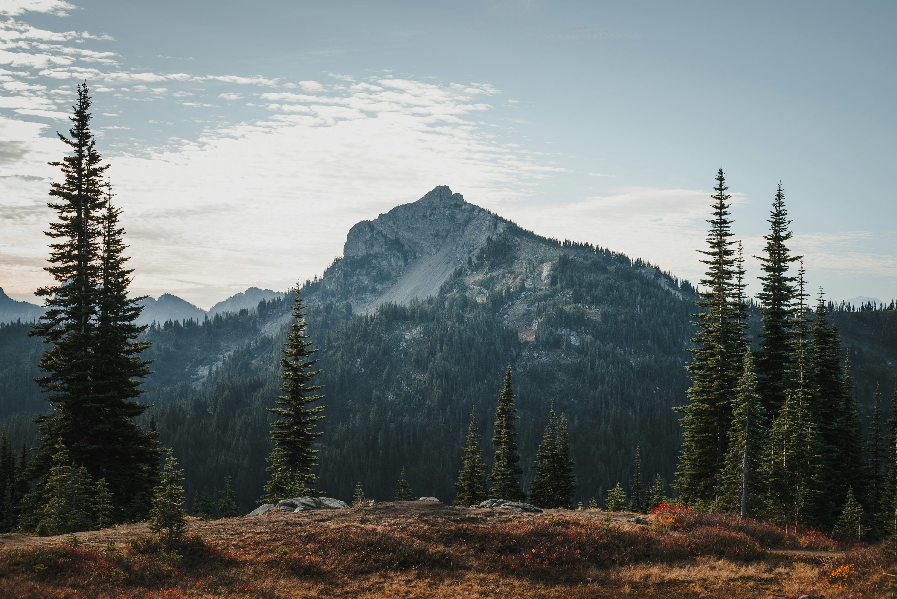 3000x2004 A view of a mountain with trees in the foreground photo