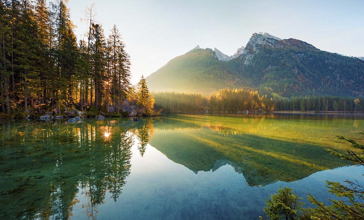 1200x725 Mountains and Trees, Forest Wallpaper for Walls®