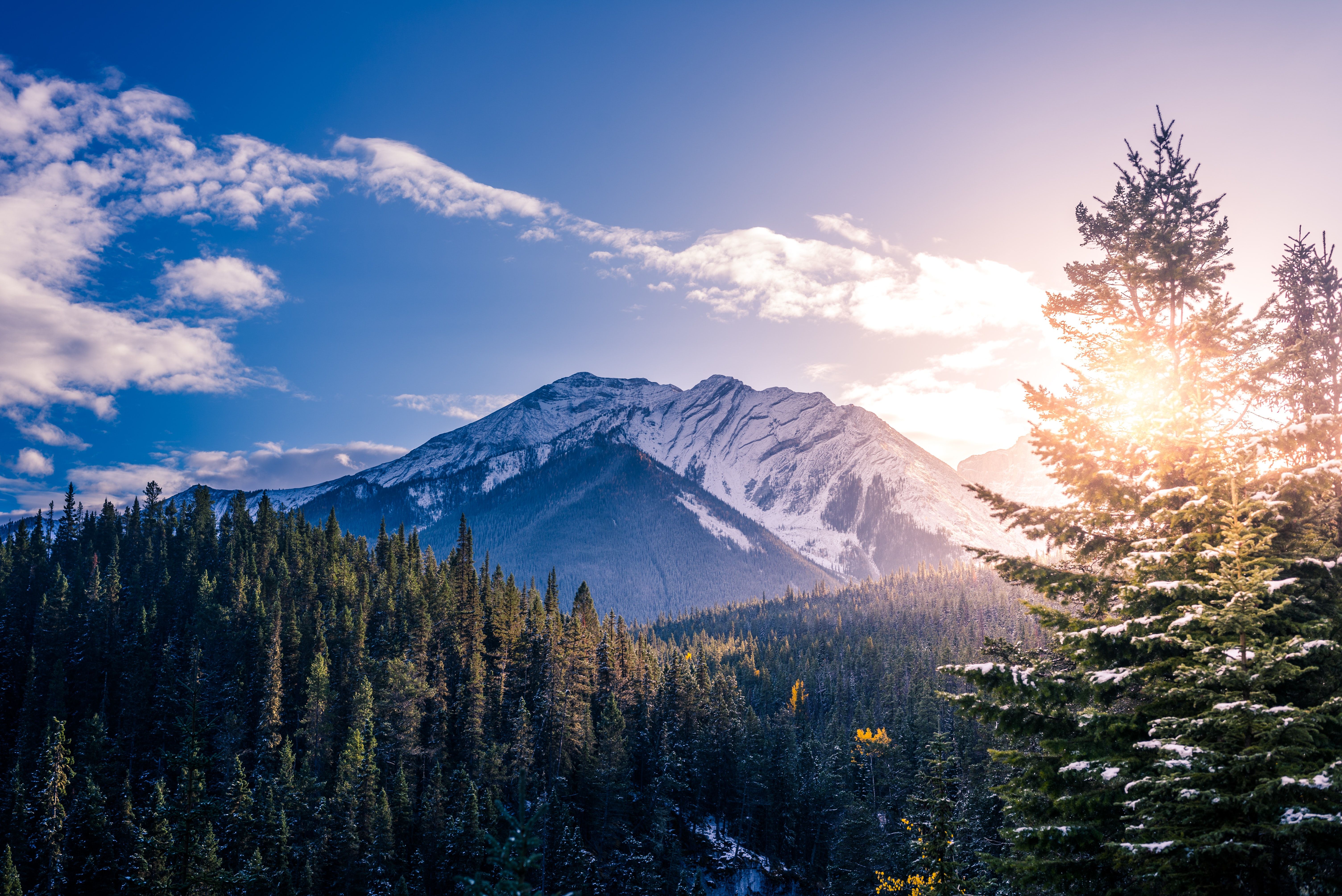 6016x4016 Snow mountains Wallpaper 4K, Pine trees, Clear sky, Clouds