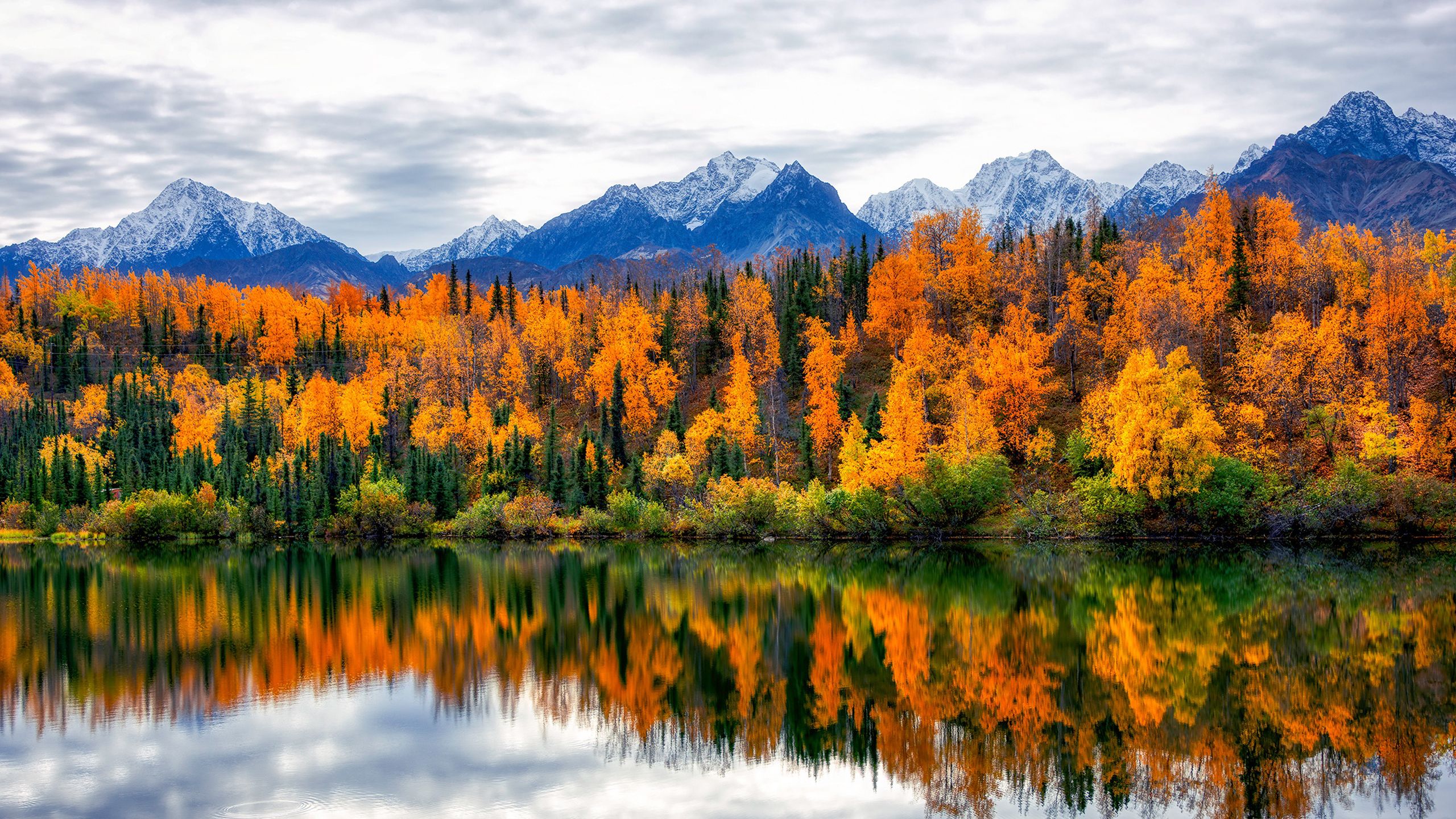 2560x1440 Landscape View Of Rock Mountains With Snow Colorful Autumn Trees Forest Under White Clouds Sky Reflection On Lake HD Nature Wallpaper