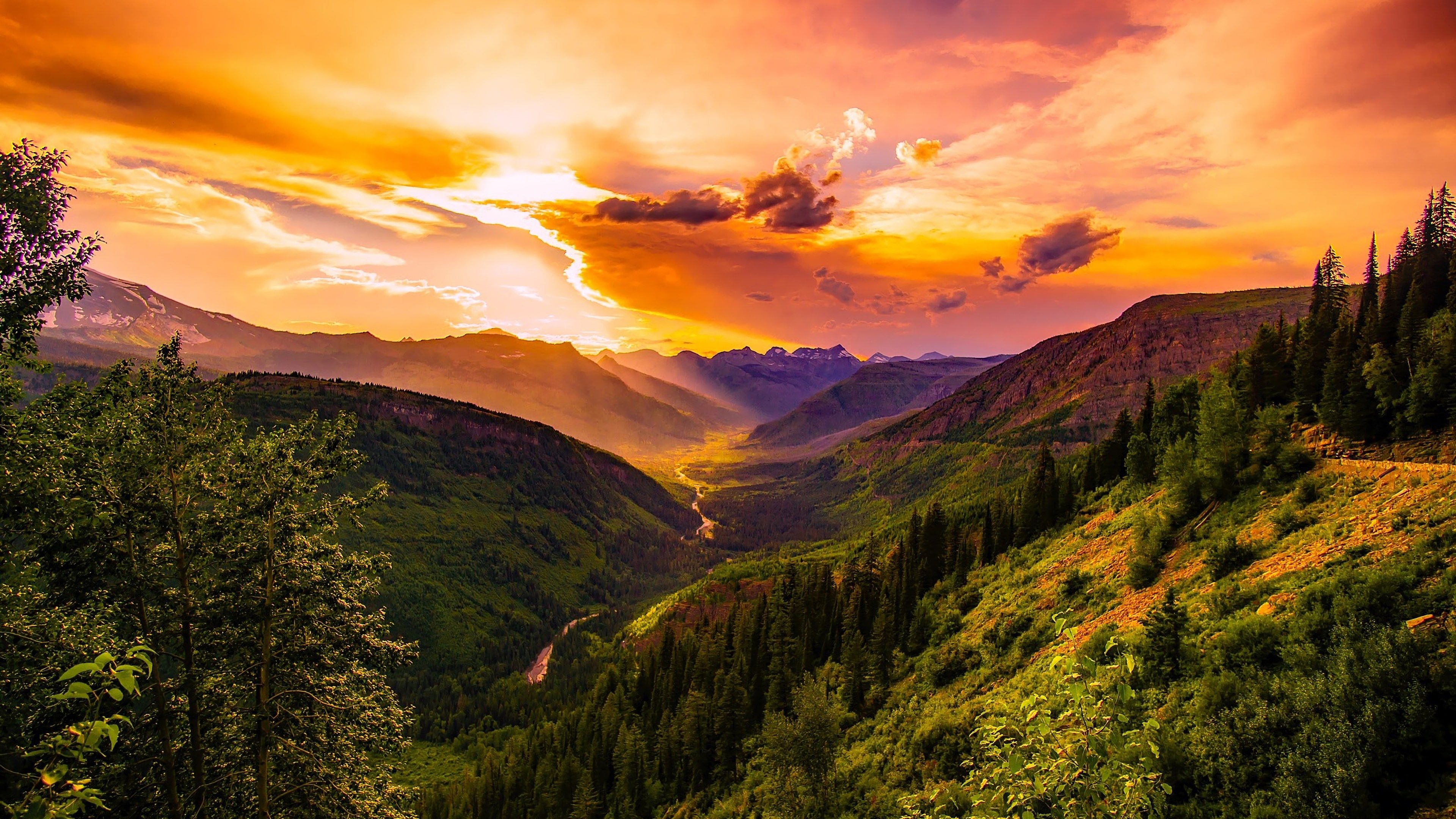 3840x2160 Mountains Forest Trees Horizon 4K Wallpaper HD