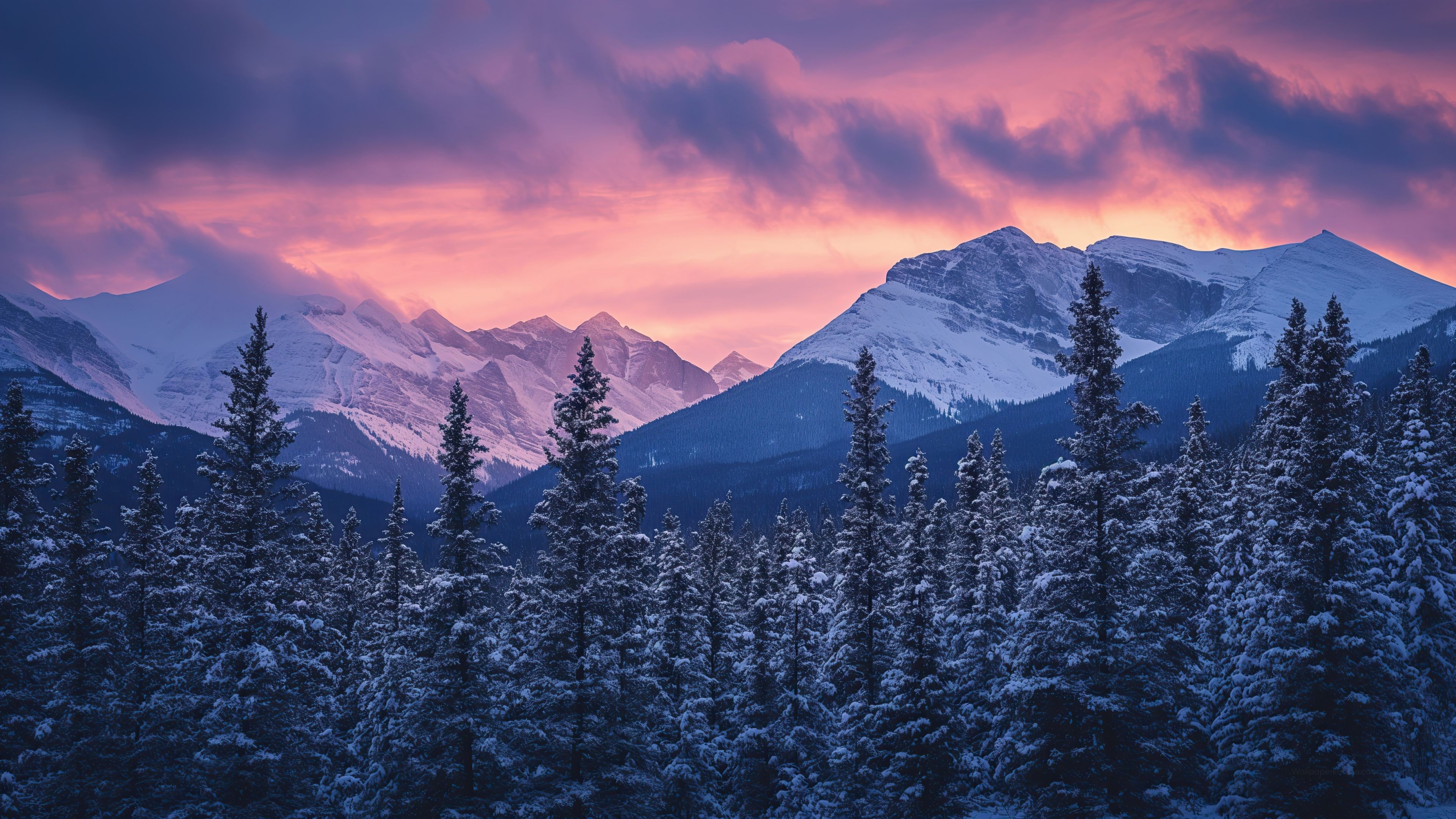 3840x2160 Trees Wallpaper 4K, Nature