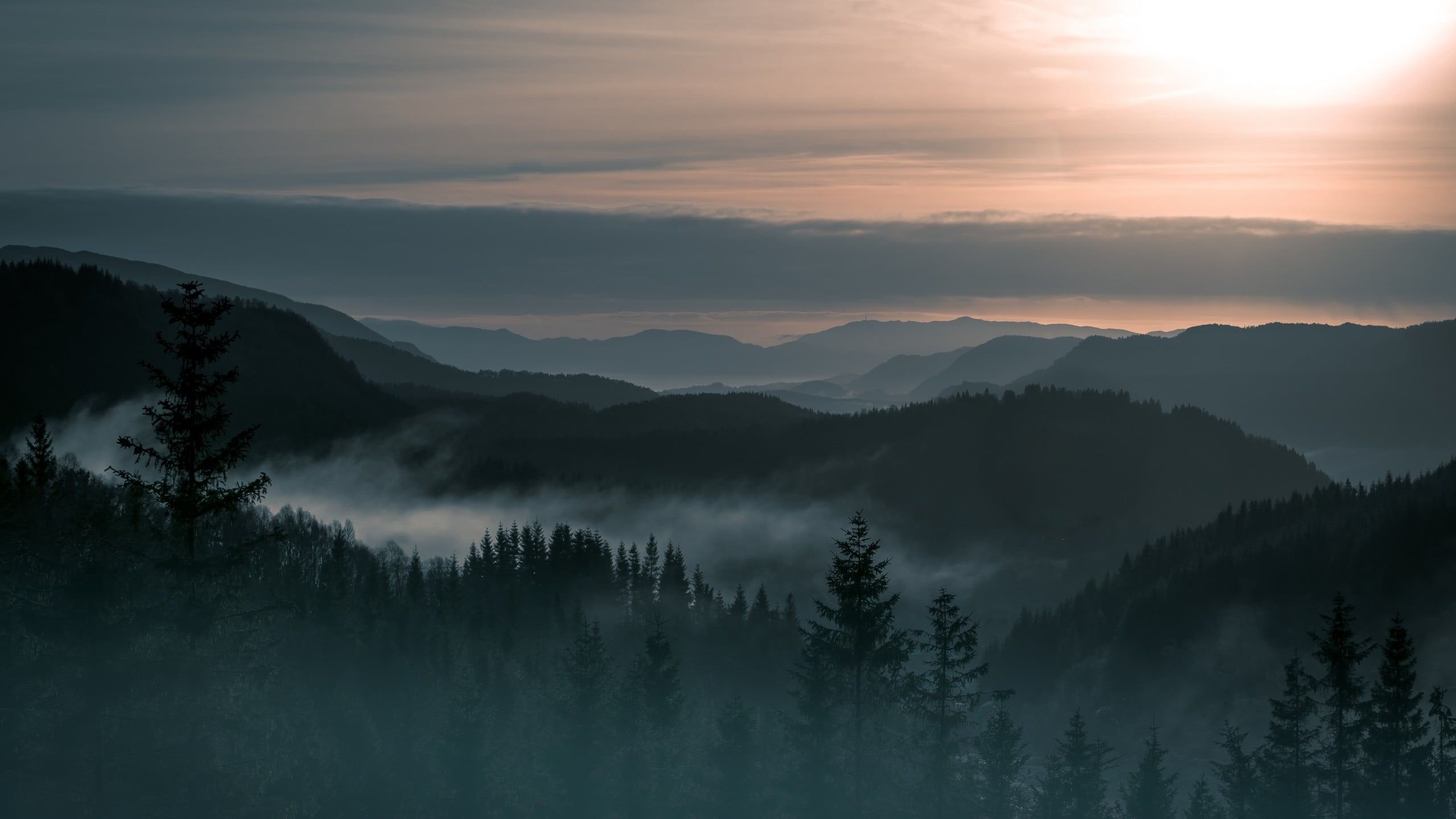 2560x1440 Pines Mountain 4k Wallpaper