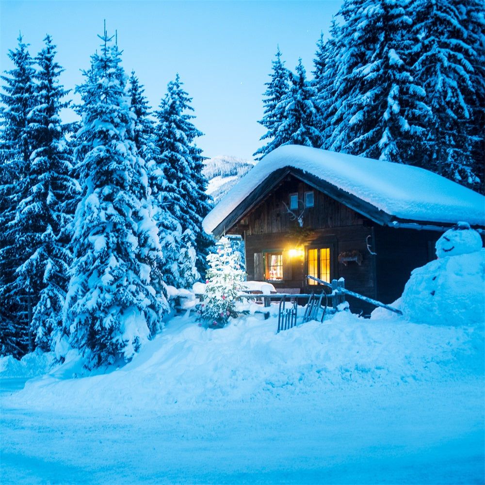 1000x1000 Winter Scene Backdrops Cabin Snowy Pine Forest Backdrop BRP11 494