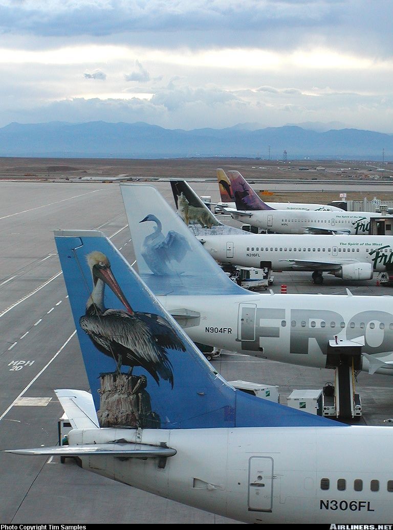 768x1036 Frontier airline ideas. frontier, airlines, aircraft