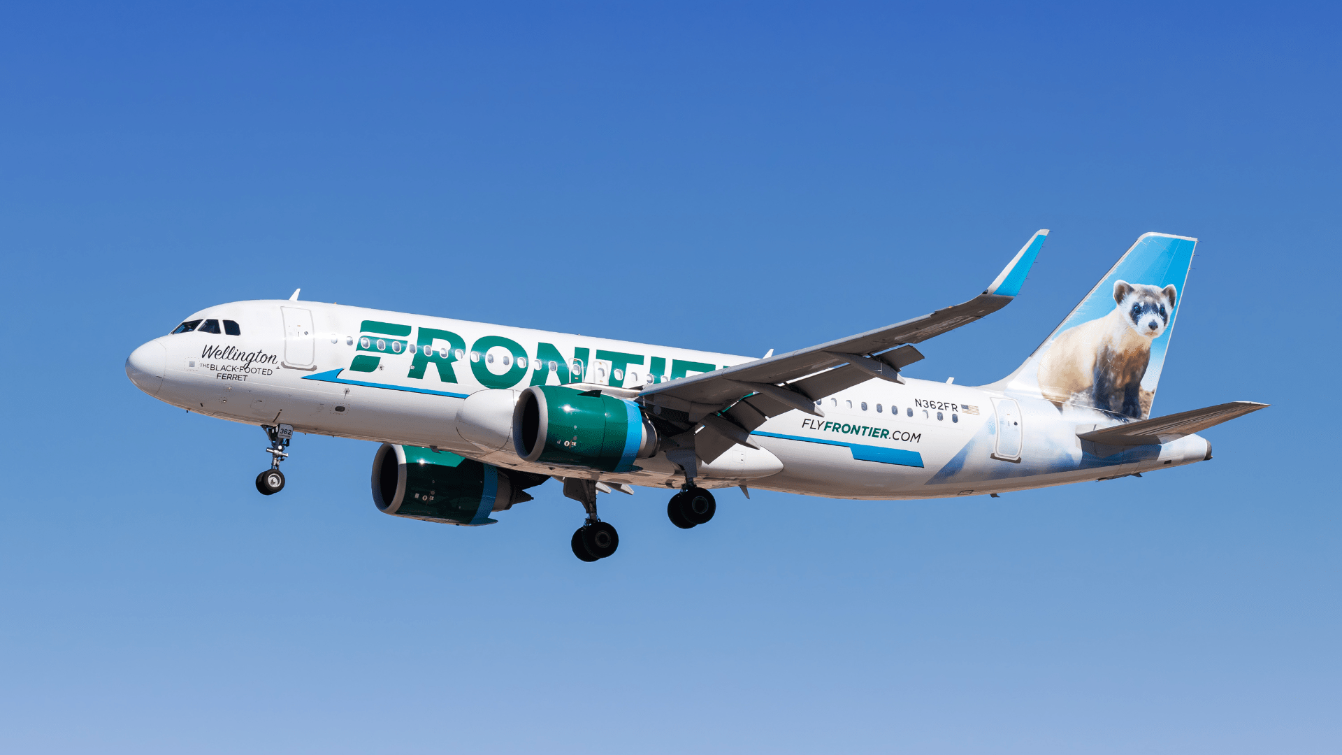 1920x1080 Frontier Airlines Takes Flight with Corpus Christi's First New Nonstop Route in 27 Years Christi International Airport