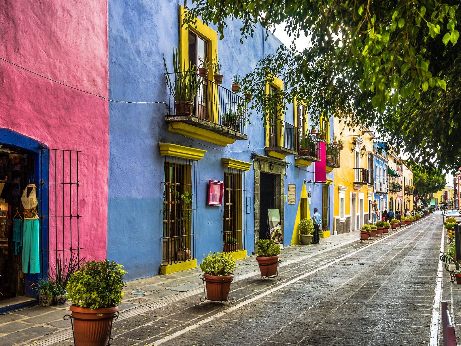 1600x1200 Puebla Safari & Custom Mexico Vacations