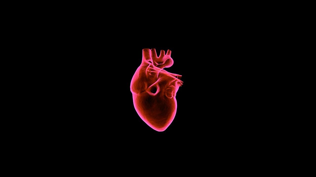 1280x720 Heart health. Your Nutrition Site