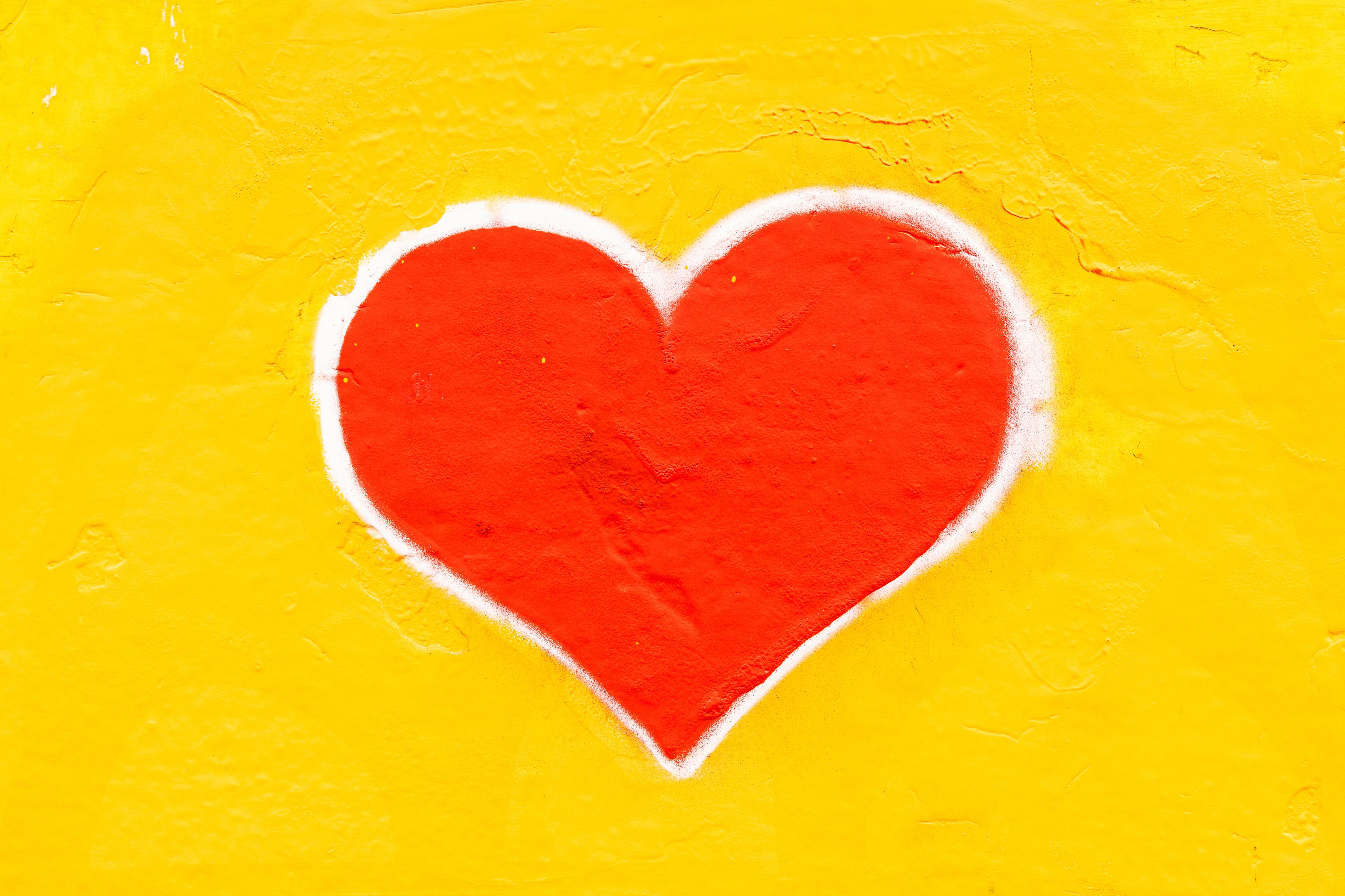 6000x4000 Wallpaper Heart, Heart Health, Cardiovascular Disease, Heart Attack, Human Body, Background Free Image