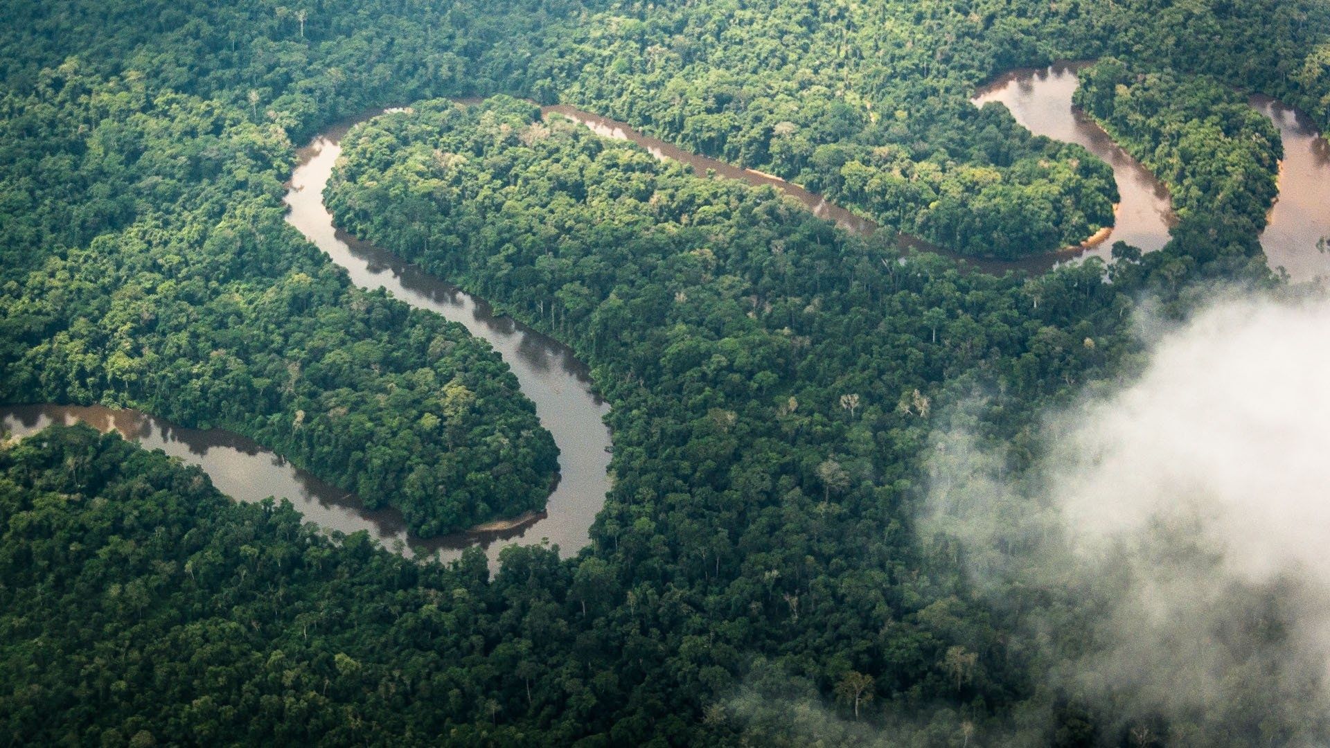 1920x1080 Congo (Congo Brazzaville) Wallpaper