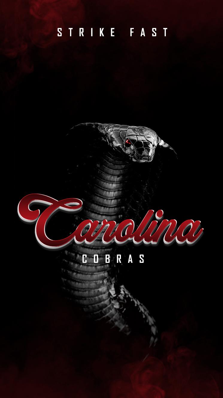 745x1328 Download Cobra, HD Wallpaper & background Download