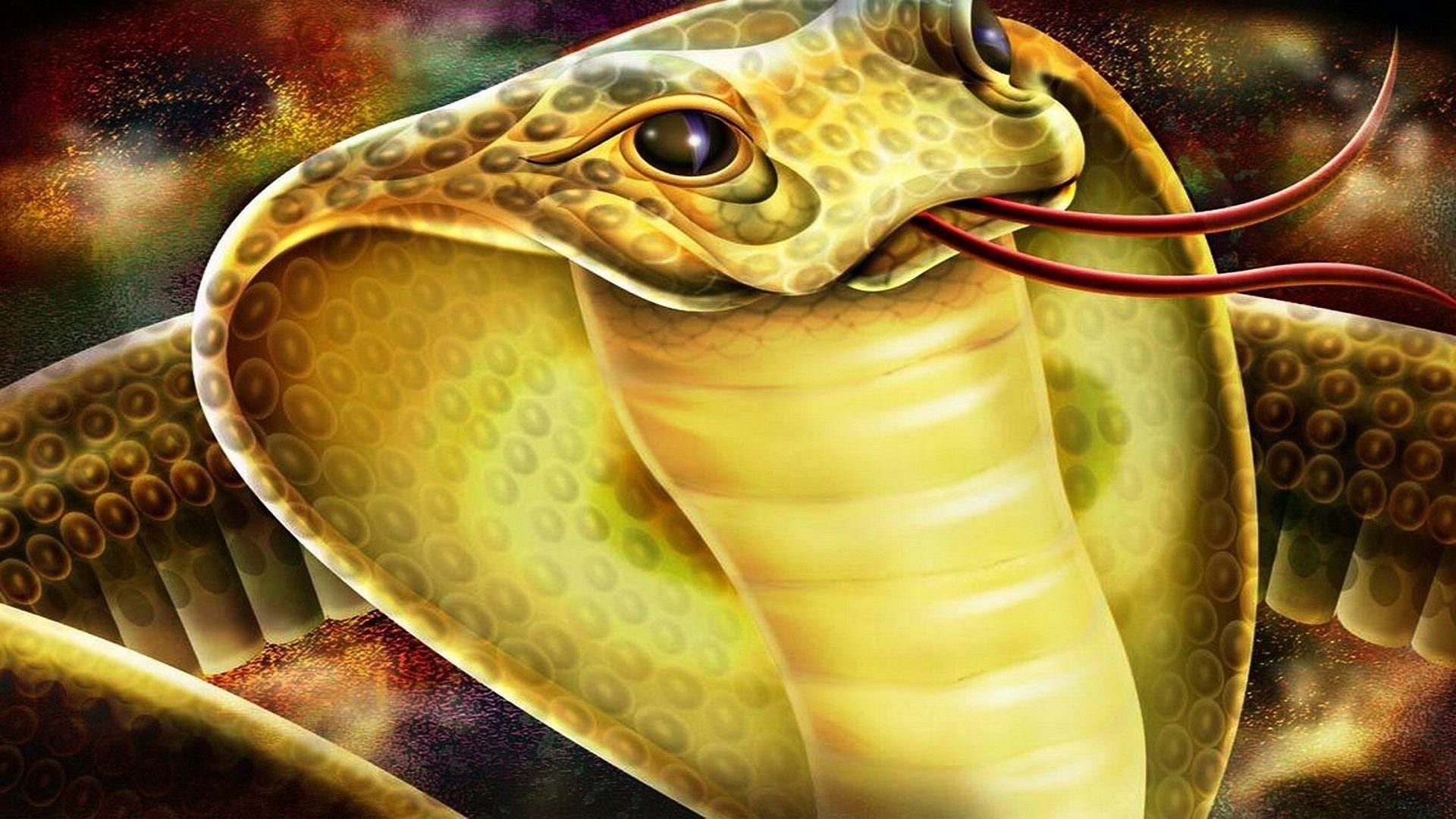 1920x1080 King Cobra Wallpaper