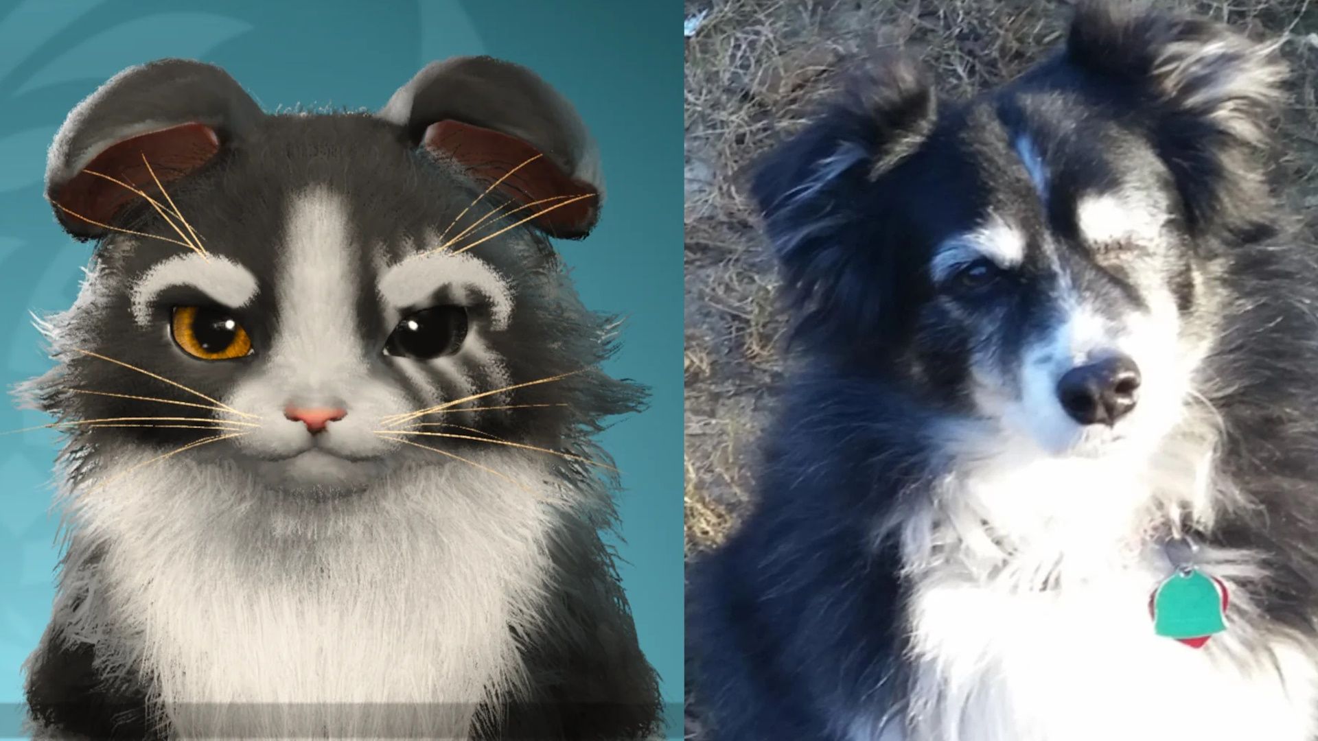 1920x1080 Monster Hunter Wilds players use the Palico character creator to remember lost pets: I have shed tears multiple times but I also feel happy that I can still fight monsters with my
