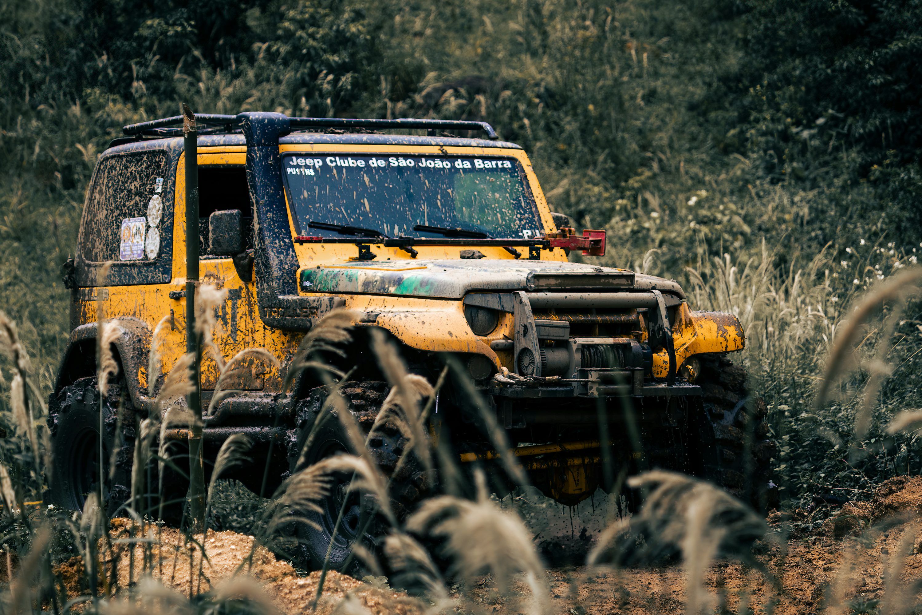3000x2000 A yellow jeep driving through a field of tall grass photo