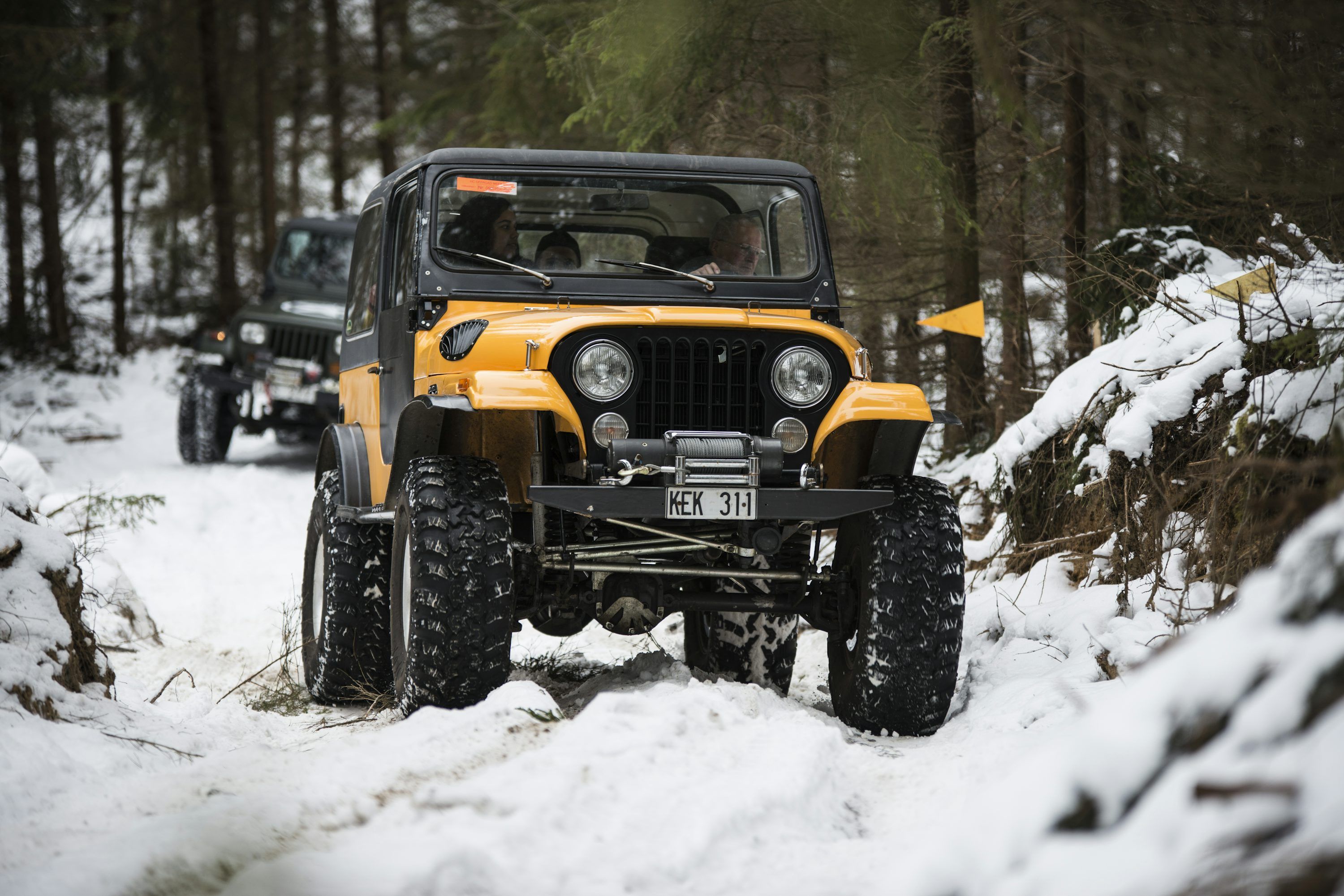 3000x2002 A jeep drivingw in the woods photo