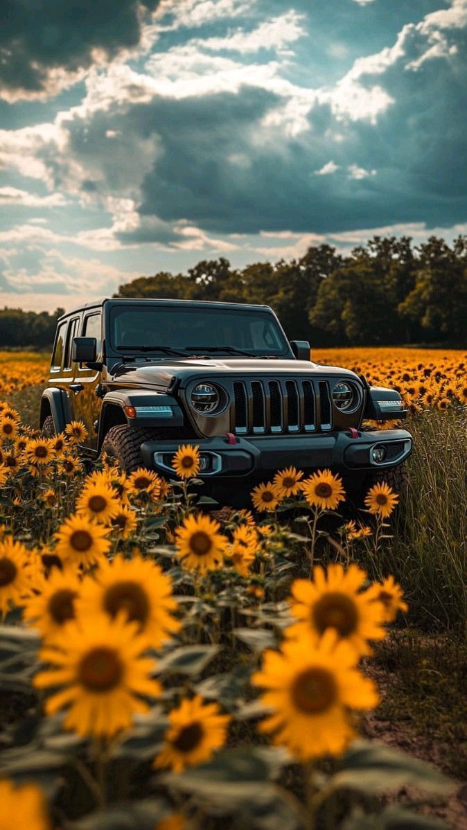 674x1198 PJs dream cars. Dream cars jeep, Jeep wallpaper, Jeep