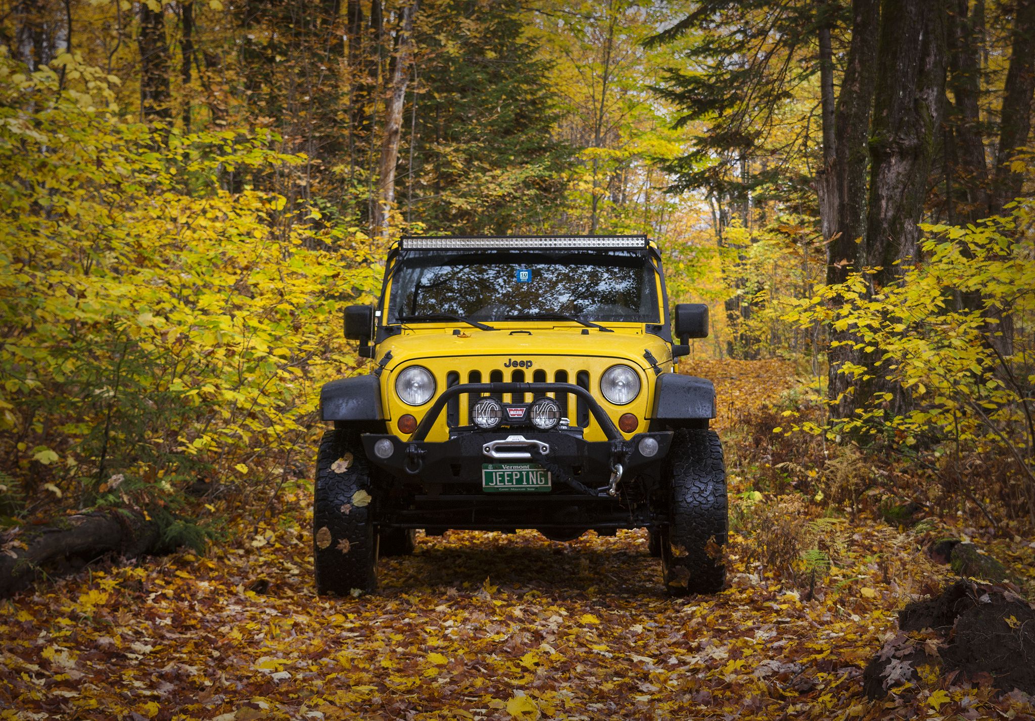 2048x1428 When a Yellow Jeep blends in. Instagram: jeepingthewild