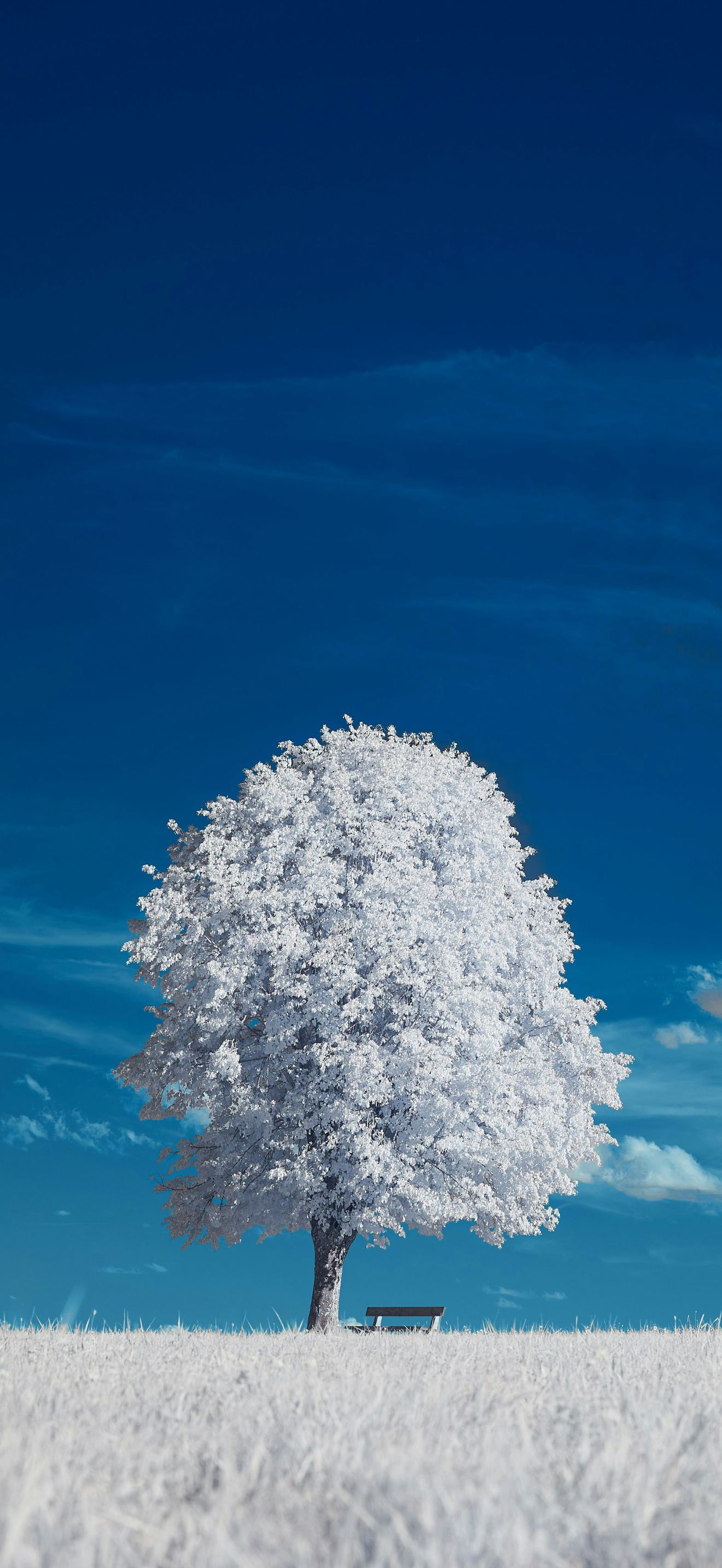 1320x2868 Exact resolution wallpaper for iPhone 16 Pro Max