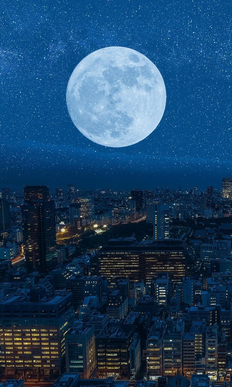 768x1280 Download Moon Night City. Royalty Free Stock Illustration Image