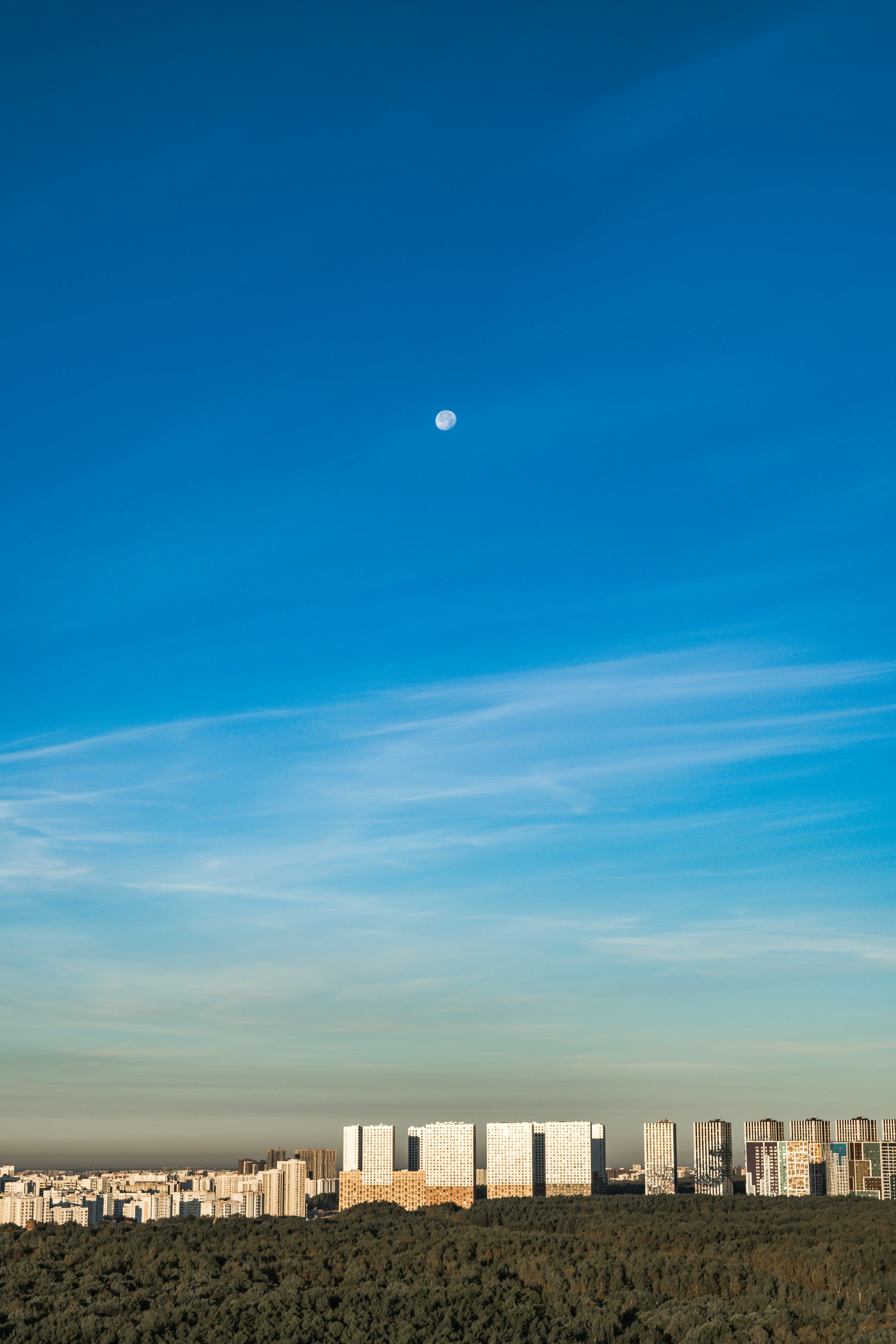 3000x4500 A full view of a city with a moon in the sky photo