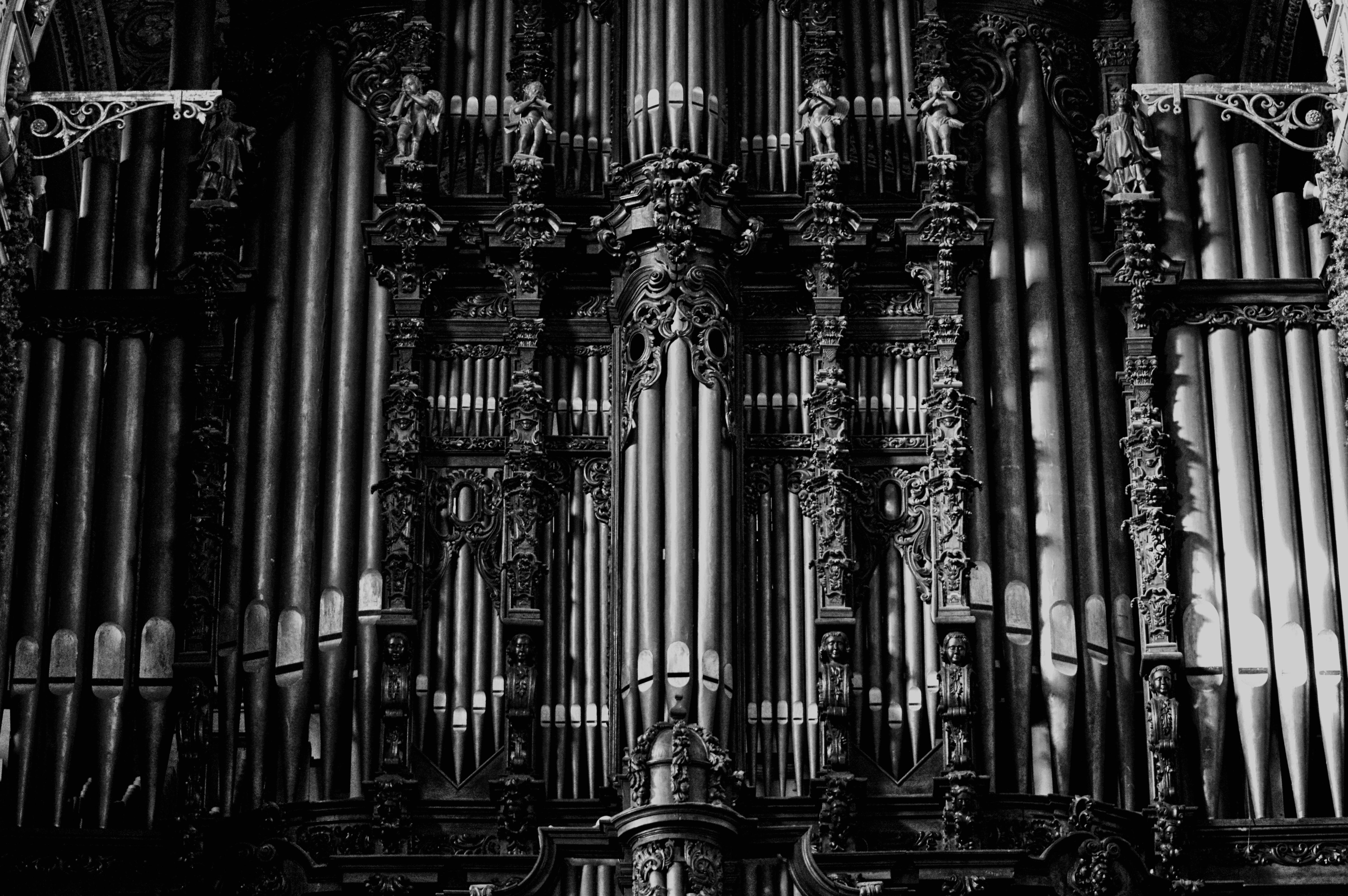 6016x4000 Organ Pipes Photo, Download The BEST Free Organ Pipes & HD Image