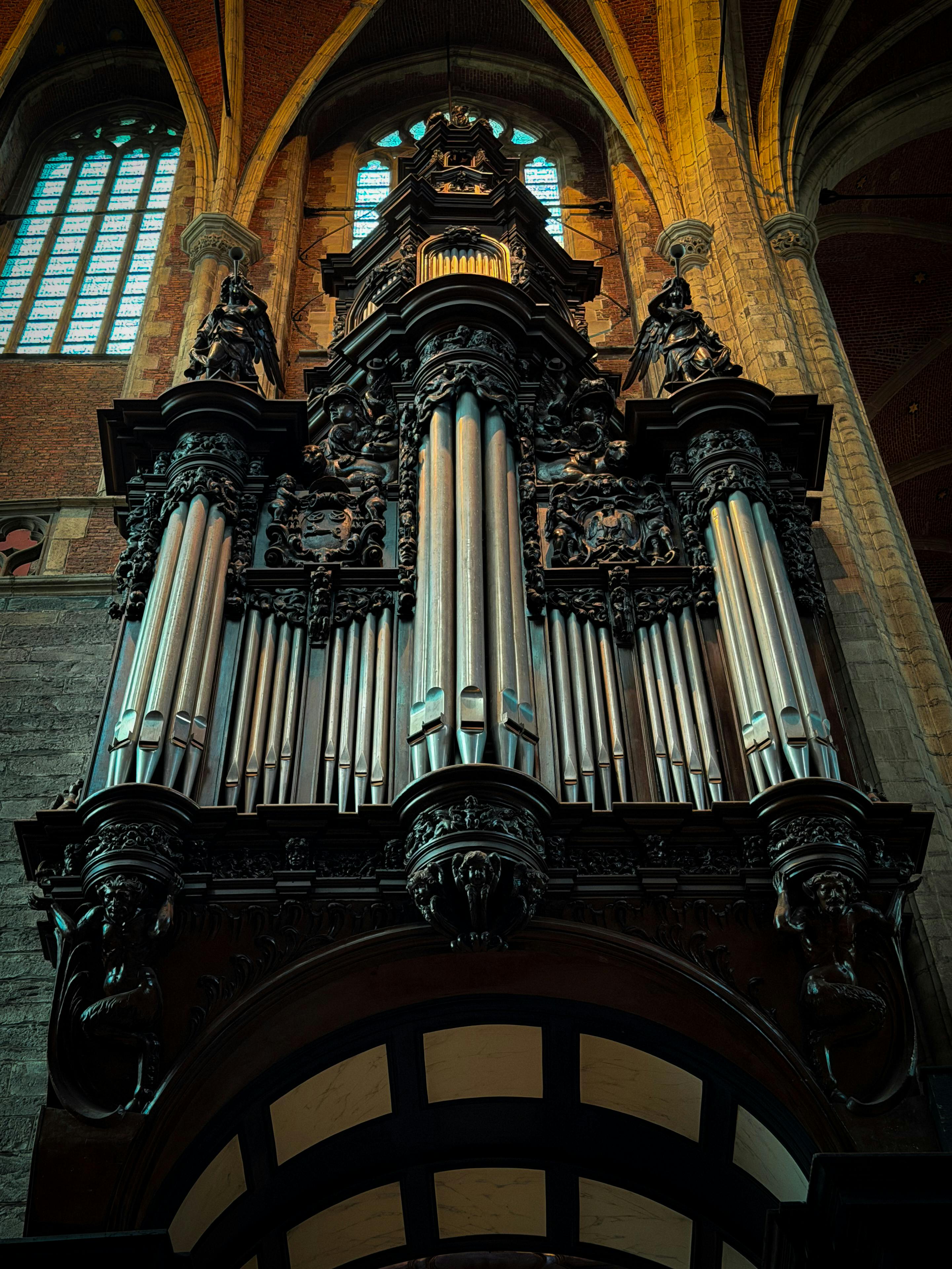 2881x3841 Organ Photo, Download The BEST Free Organ & HD Image