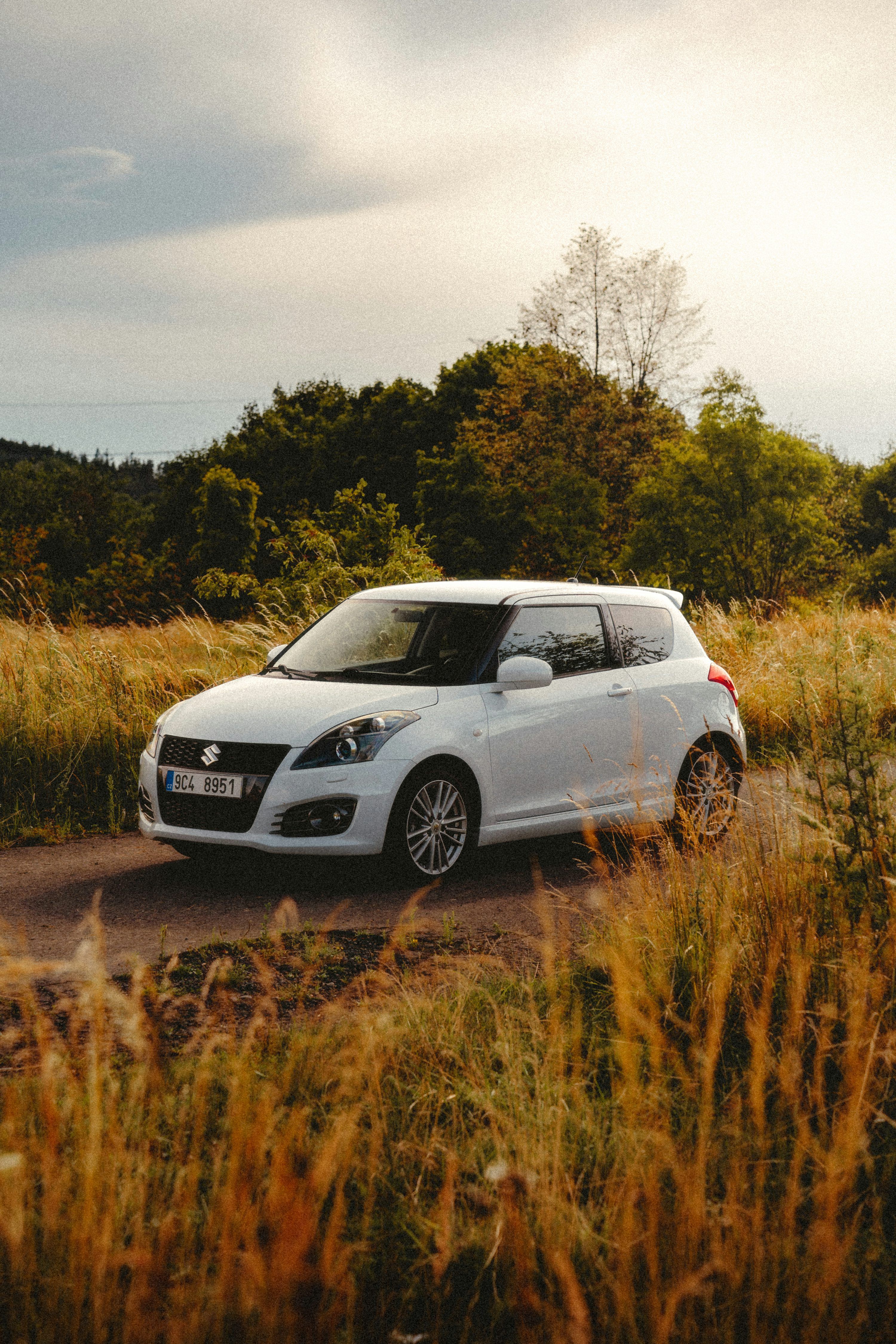 3000x4500 Suzuki Swift Picture. Download Free Image