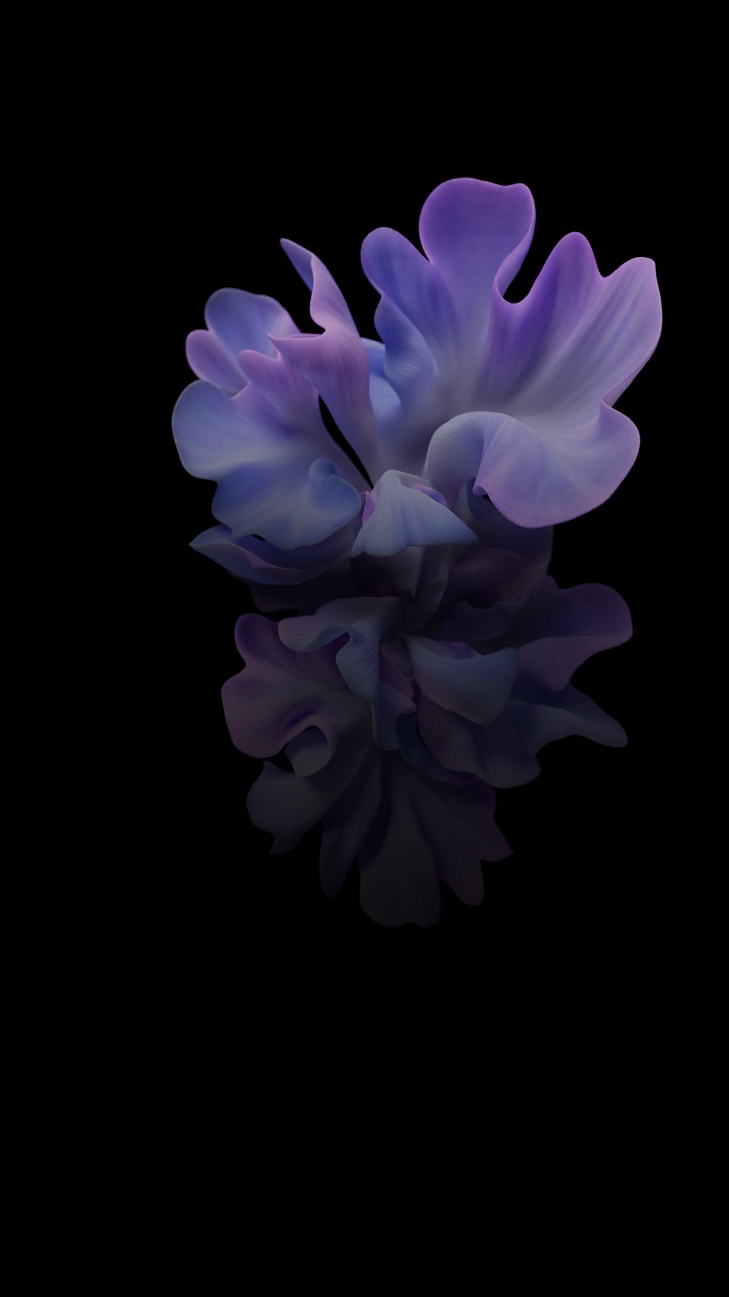 1440x2560 Samsung Galaxy, Samsung, Samsung Galaxy Z Flip, Smartphone, Foldable Smartphone Wallpaper for Google Pixel XL, Meizu Pro Nokia HTC U, Huawei P10 Quad HD, 1440x2560 Nature Picture, Background and Image