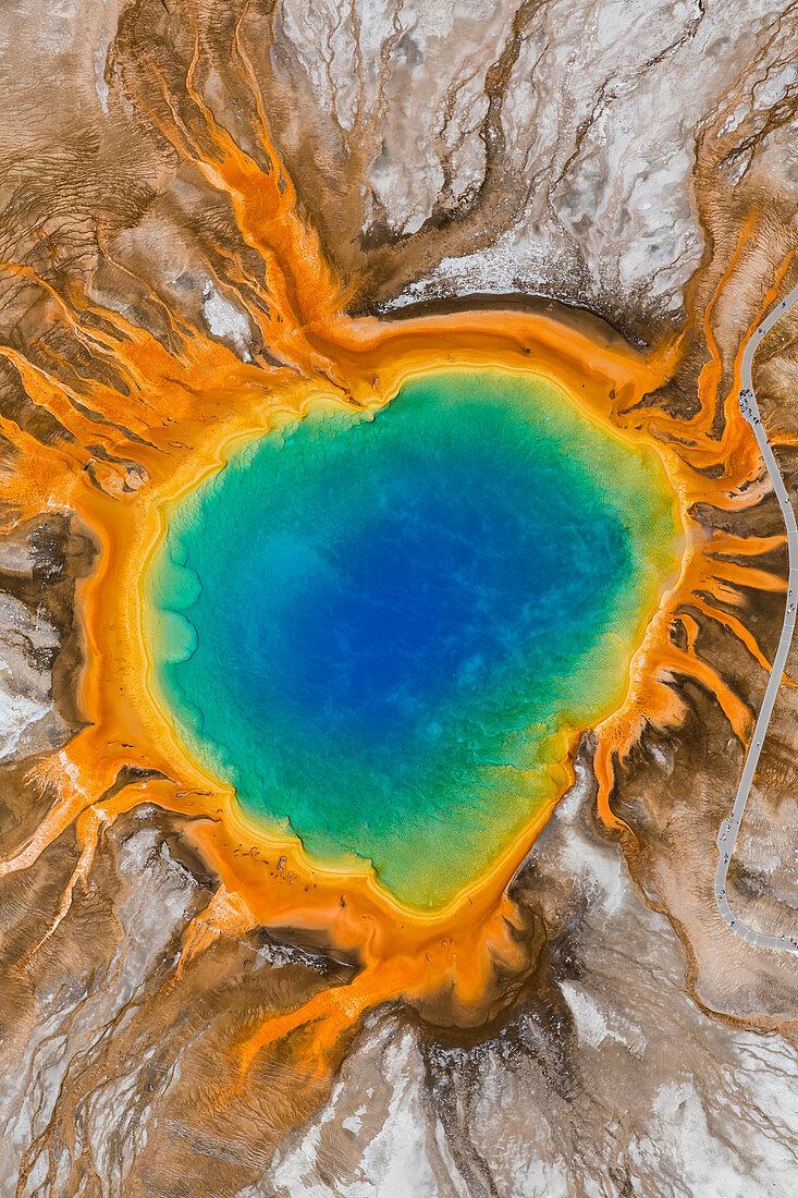 733x1100 Grand Prismatic Spring, Midway Geyser