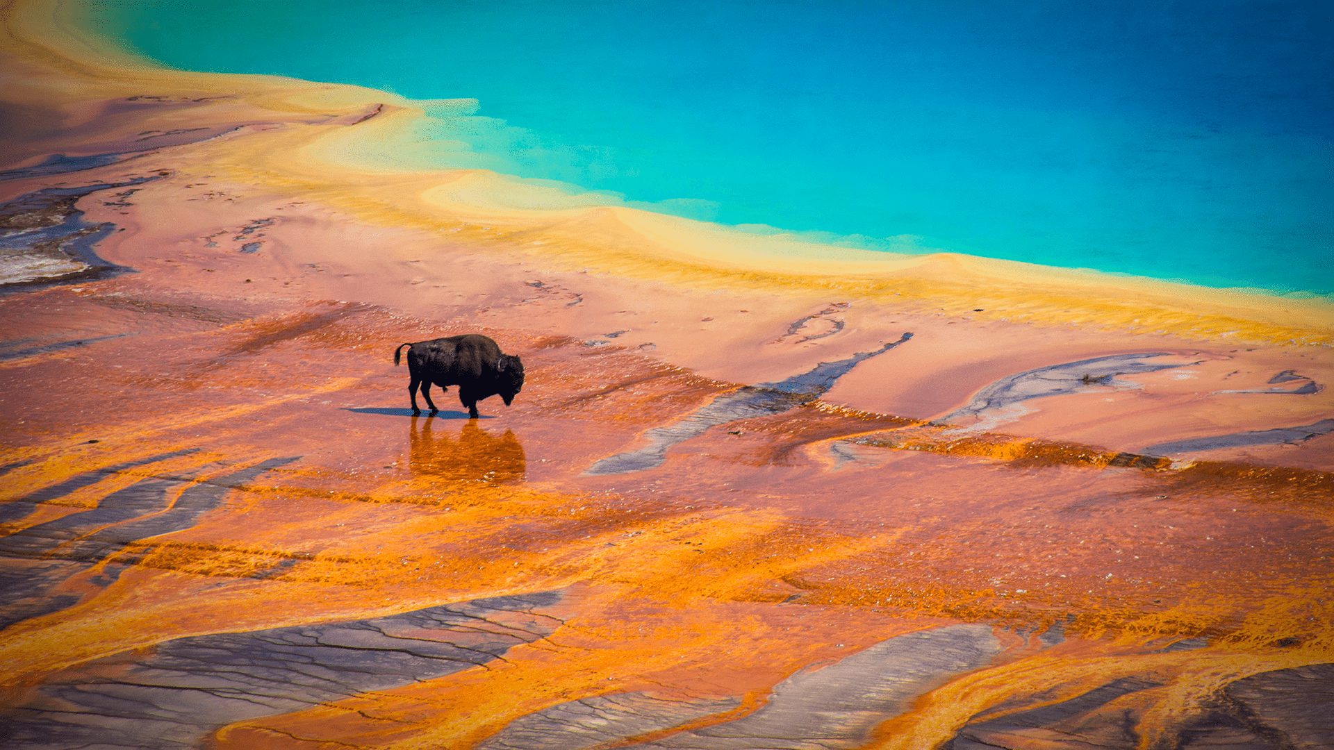 1920x1080 What NASA Is Looking For In Yellowstone National Park. Rocky Mountain PBS