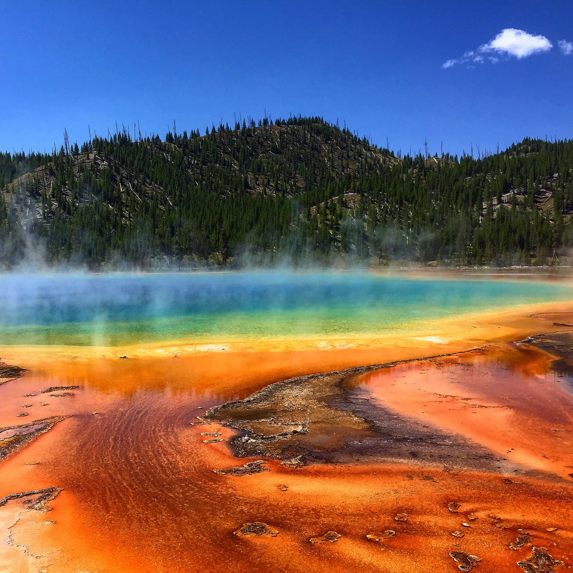 1920x1920 Download Marvel in the breathtaking views of Yellowstone National Park Wallpaper