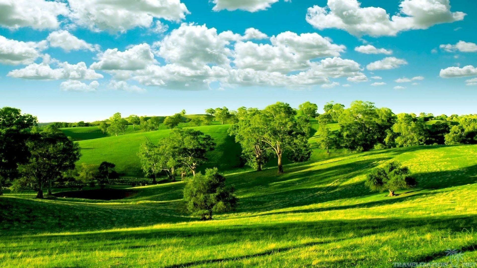 1920x1080 Vibrant HD Nature Landscape: Serene Green Fields Under a Radiant Skyx1080