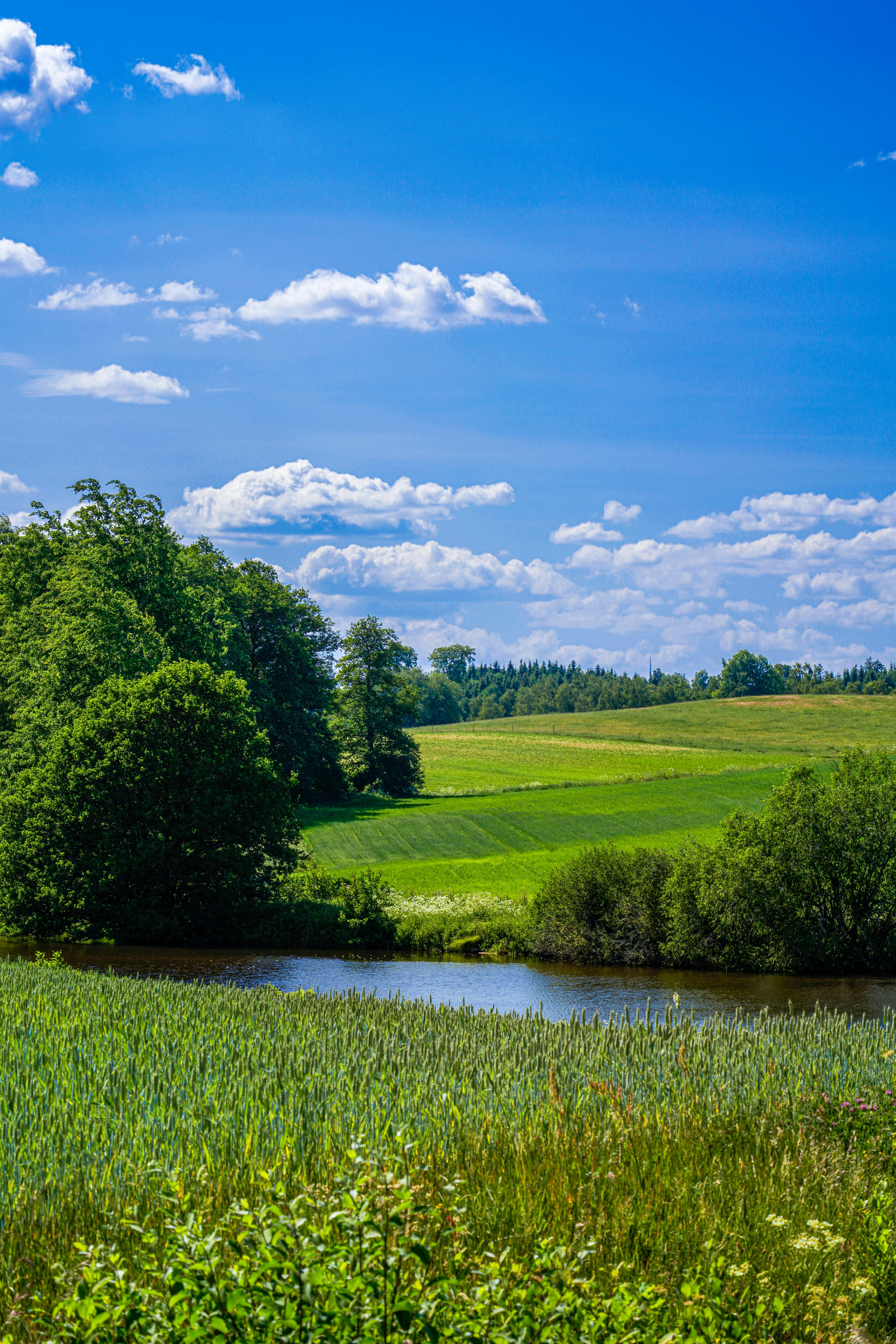 5304x7952 Summer Landscape Photo, Download The BEST Free Summer Landscape & HD Image