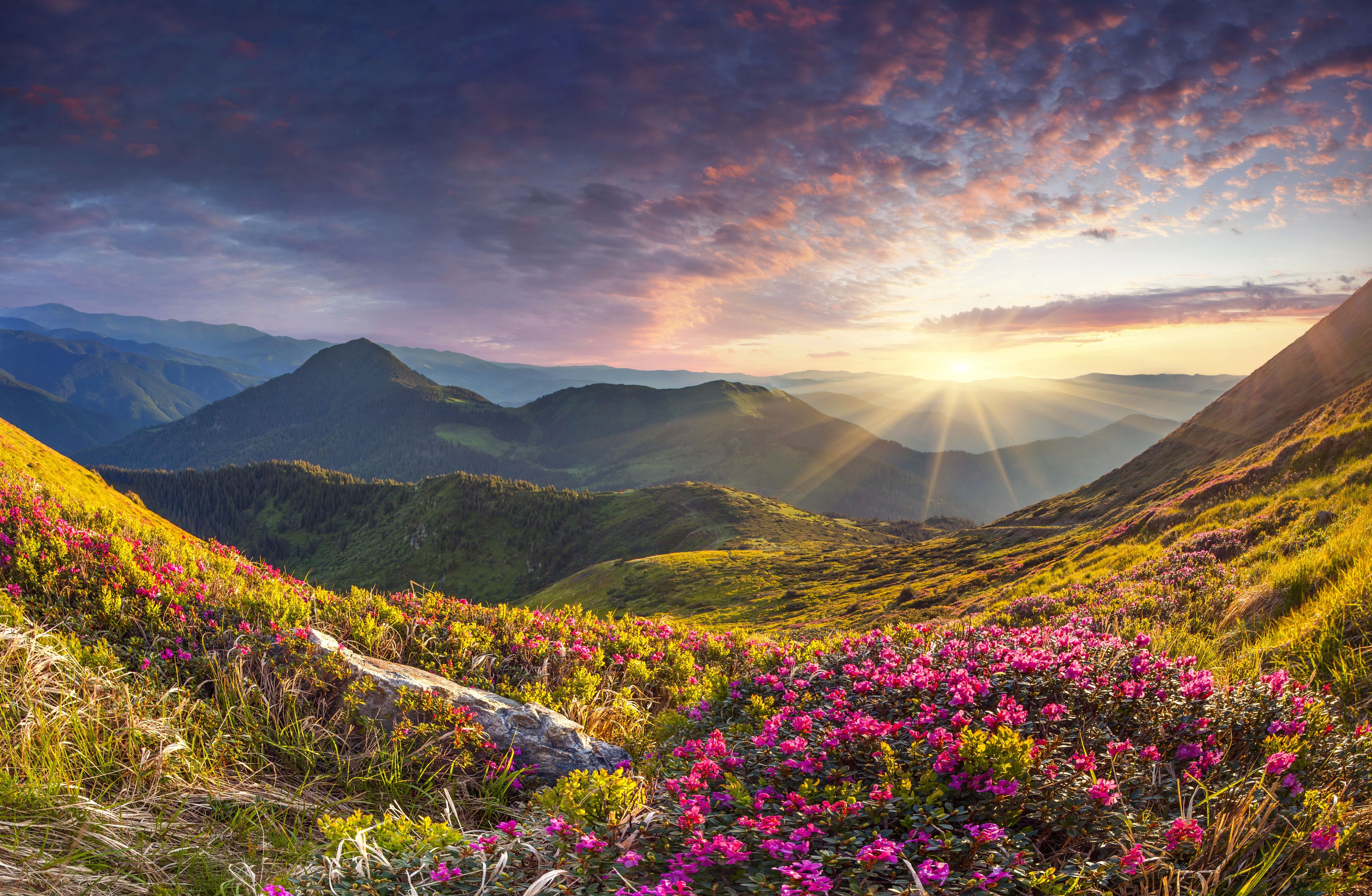6136x4006 Download Sunrise Nature Landscape 4k Ultra HD Wallpaperx4006